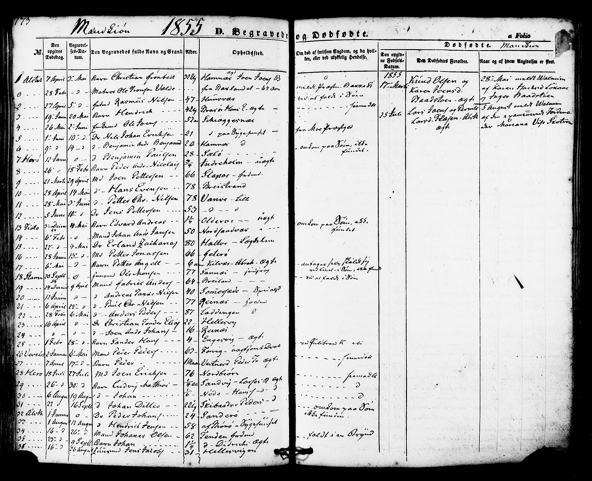 Ministerialprotokoller, klokkerbøker og fødselsregistre - Nordland, SAT/A-1459/830/L0448: Parish register (official) no. 830A12, 1855-1878, p. 173