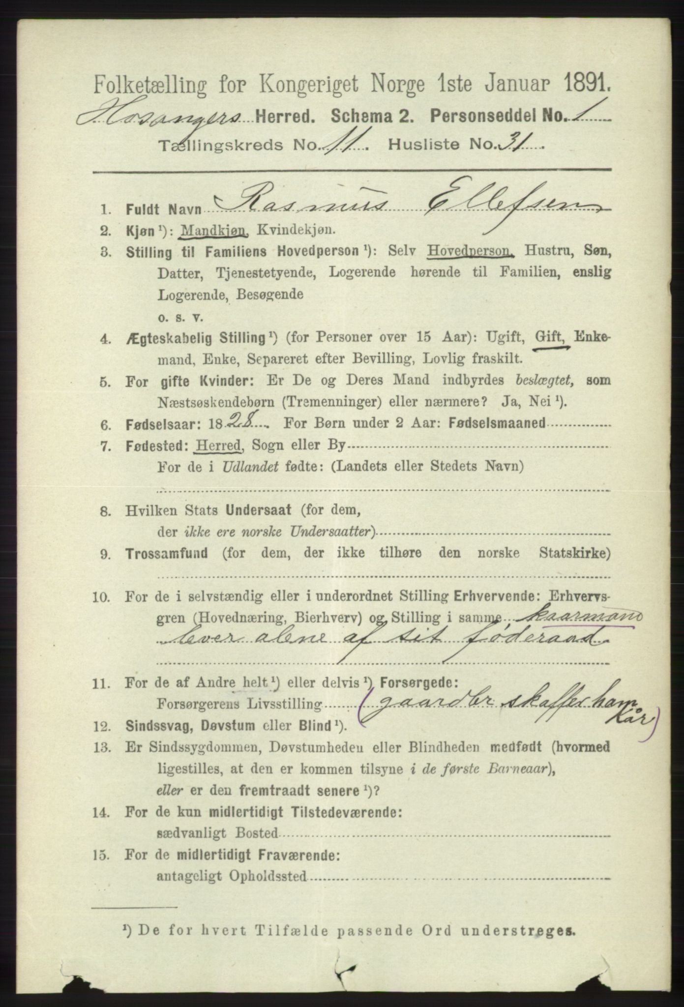 RA, 1891 census for 1253 Hosanger, 1891, p. 3956