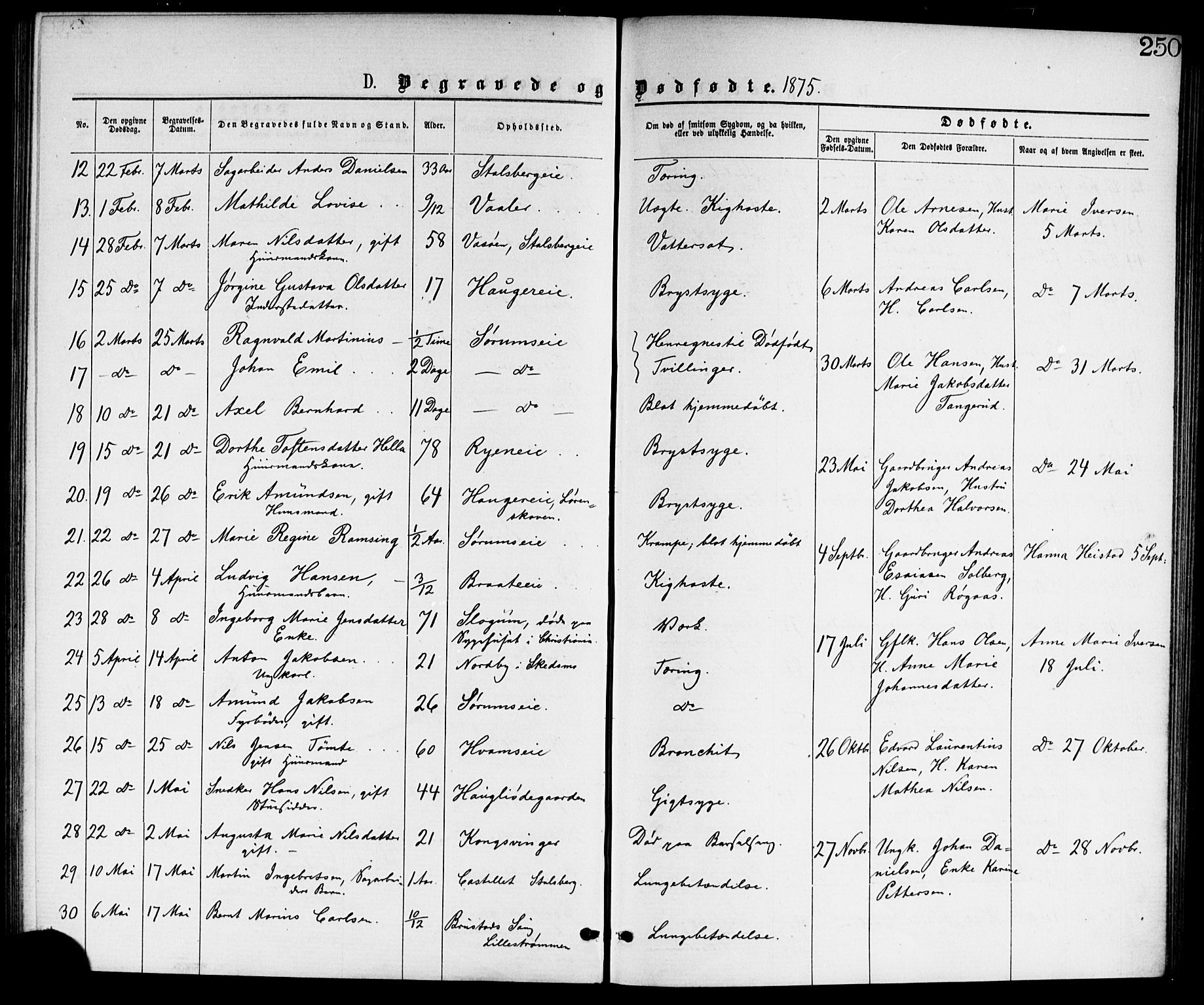 Skedsmo prestekontor Kirkebøker, AV/SAO-A-10033a/G/Ga/L0003: Parish register (copy) no. I 3, 1873-1882, p. 250