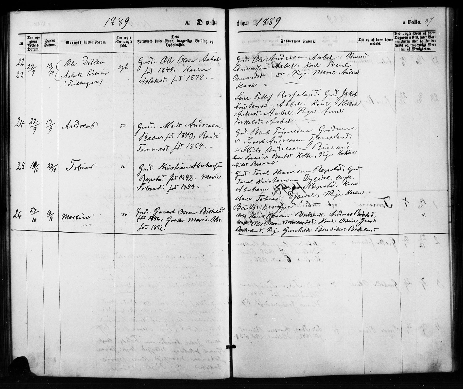 Birkenes sokneprestkontor, AV/SAK-1111-0004/F/Fb/L0003: Parish register (copy) no. B 3, 1876-1892, p. 87