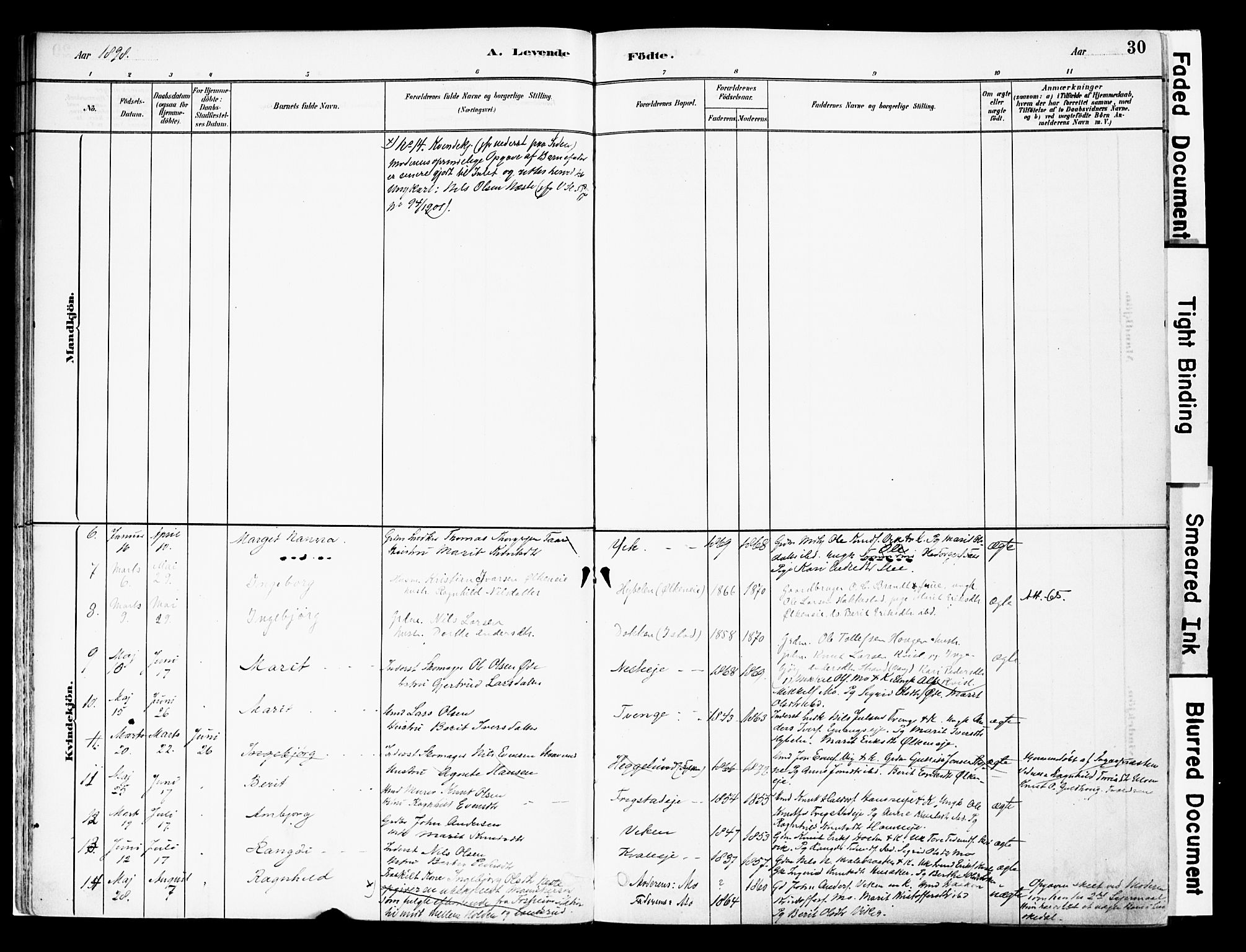 Vestre Slidre prestekontor, AV/SAH-PREST-136/H/Ha/Haa/L0004: Parish register (official) no. 4, 1881-1911, p. 30