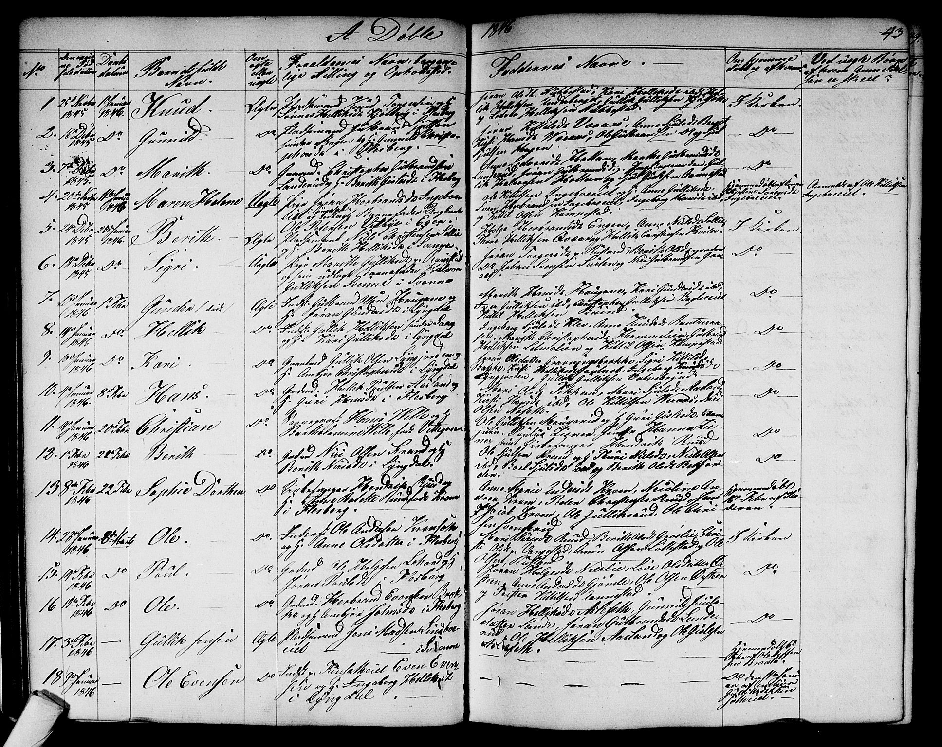 Flesberg kirkebøker, SAKO/A-18/G/Ga/L0002: Parish register (copy) no. I 2, 1834-1860, p. 43