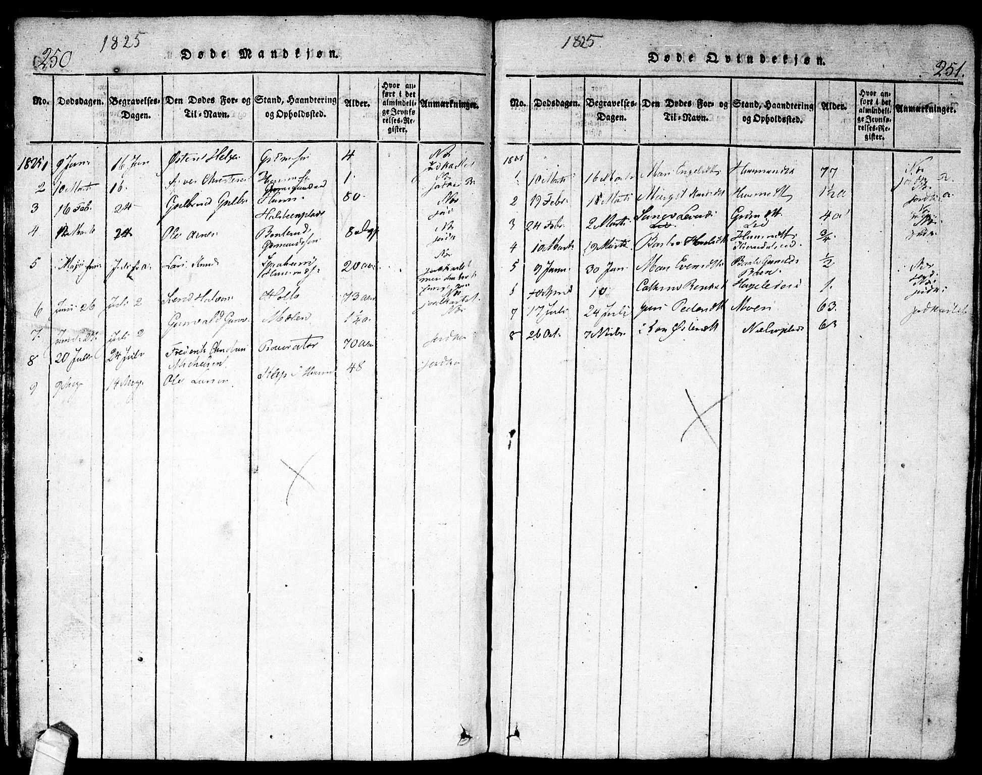 Nes kirkebøker, AV/SAKO-A-236/F/Fa/L0007: Parish register (official) no. 7, 1815-1823, p. 250-251