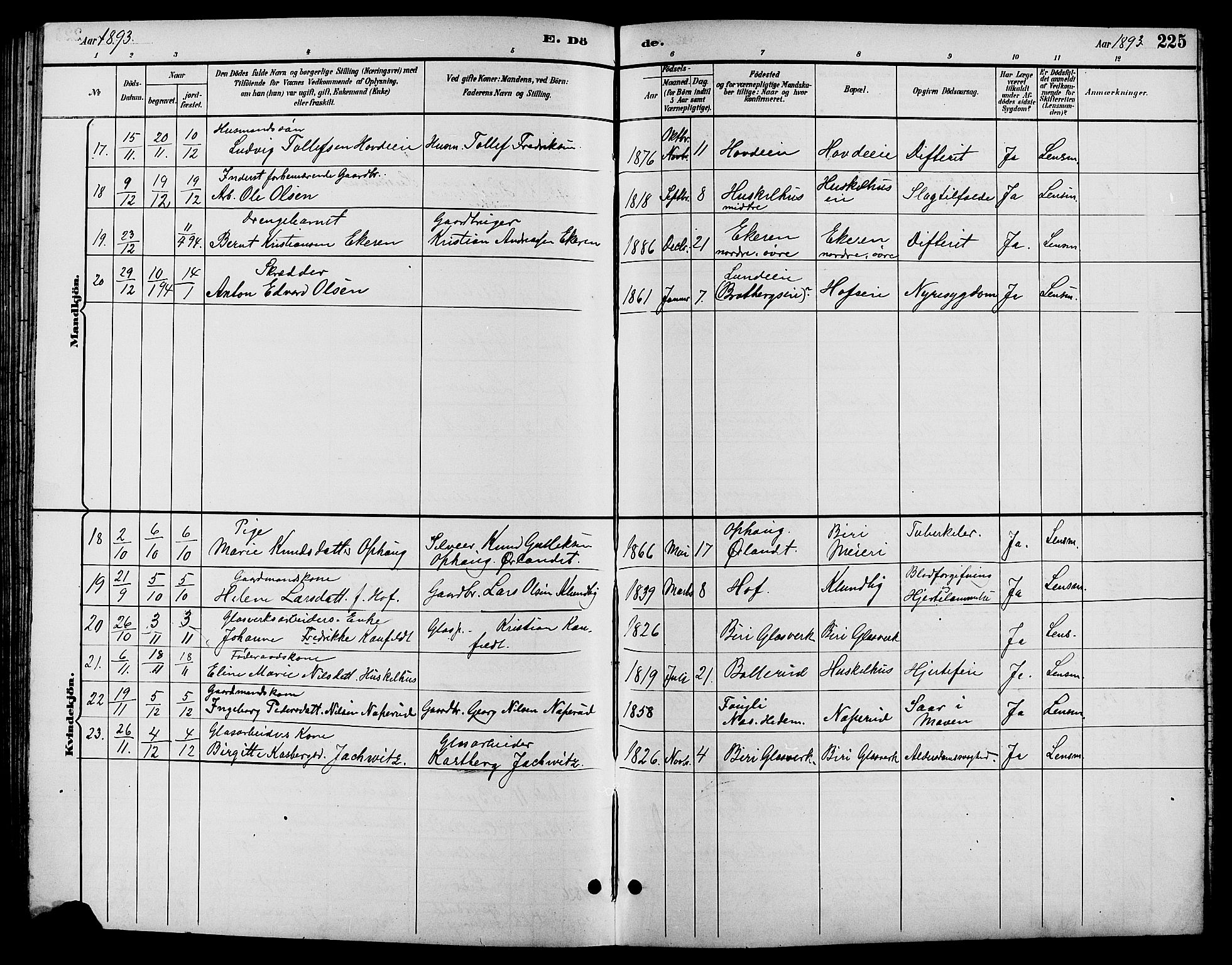 Biri prestekontor, SAH/PREST-096/H/Ha/Hab/L0004: Parish register (copy) no. 4, 1892-1909, p. 225