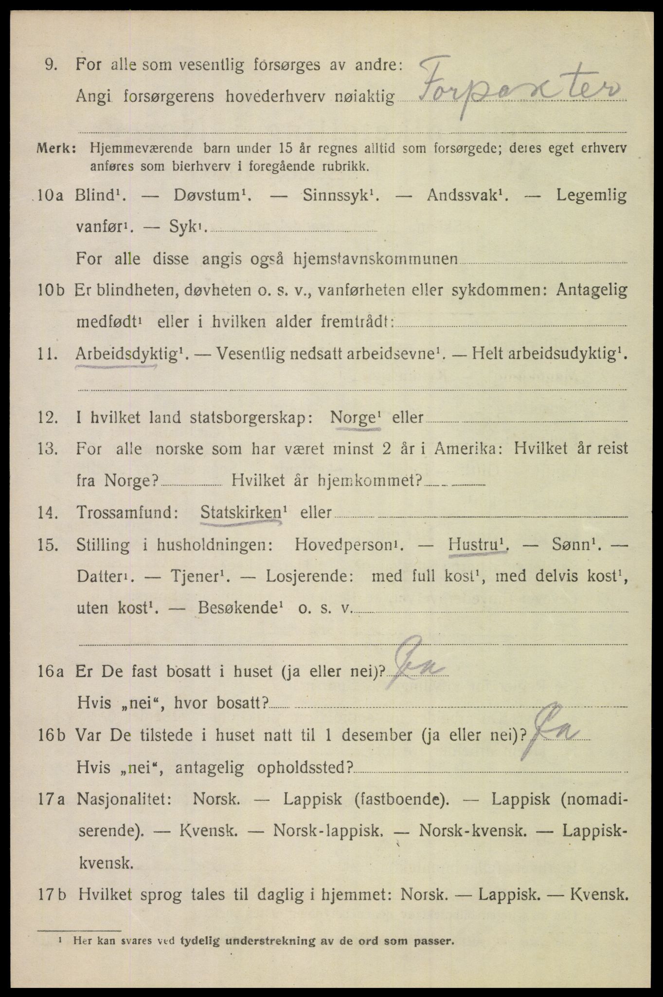 SAT, 1920 census for Bodin, 1920, p. 12677