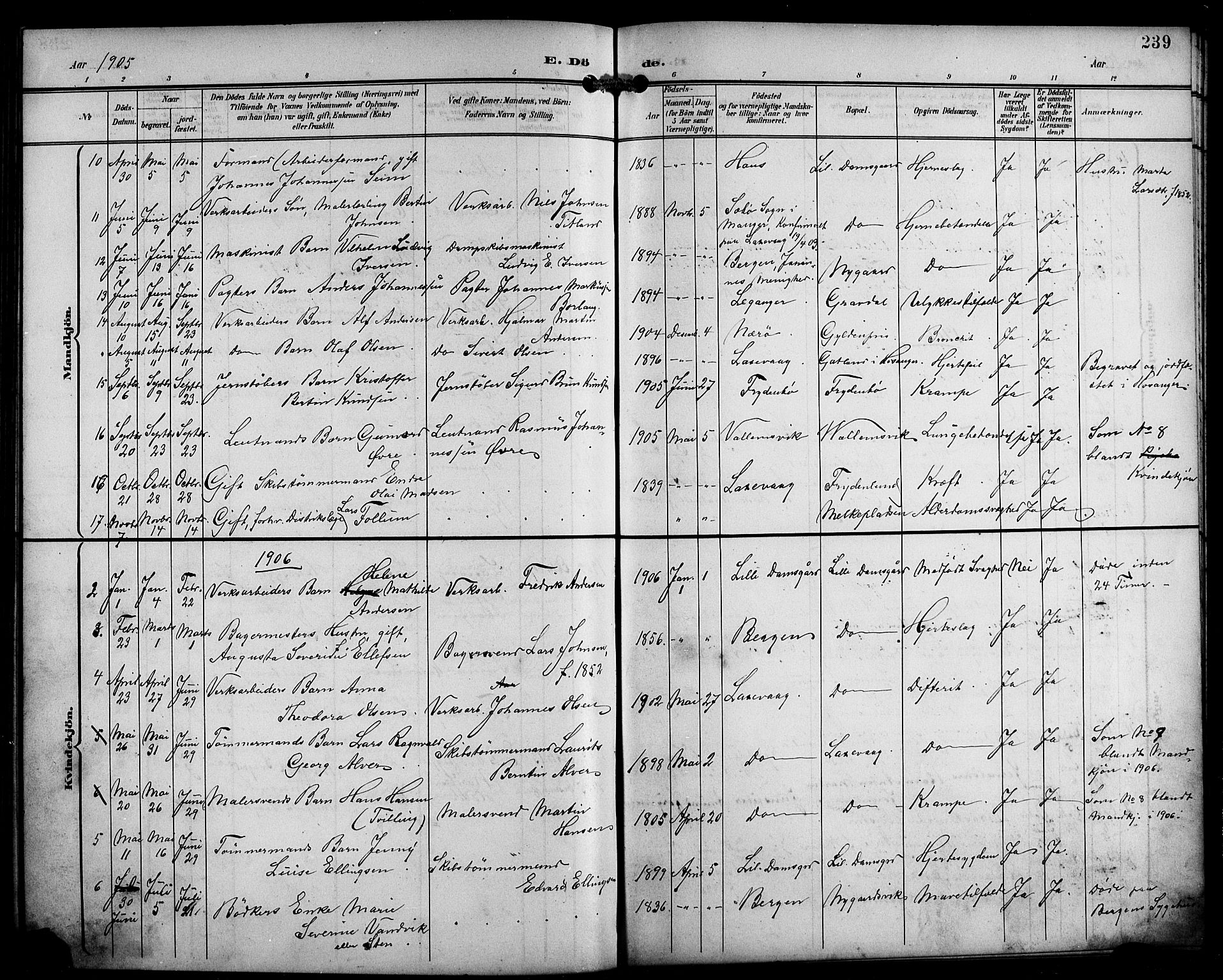 Laksevåg Sokneprestembete, SAB/A-76501/H/Ha/Hab/Haba/L0004: Parish register (copy) no. A 4, 1899-1909, p. 239