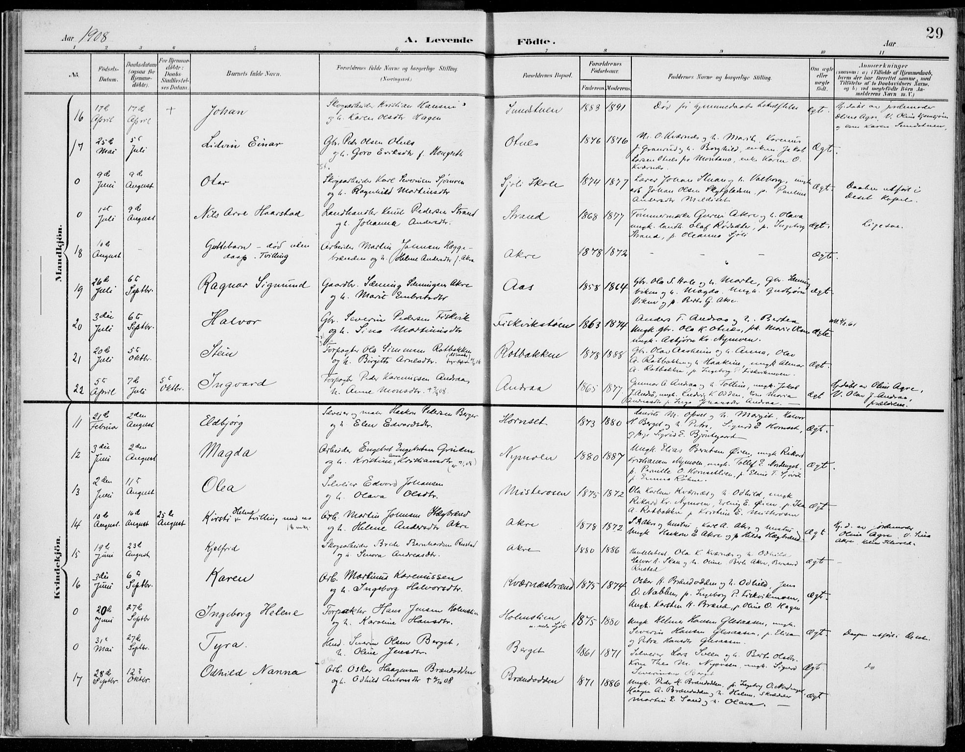 Rendalen prestekontor, AV/SAH-PREST-054/H/Ha/Haa/L0011: Parish register (official) no. 11, 1901-1925, p. 29
