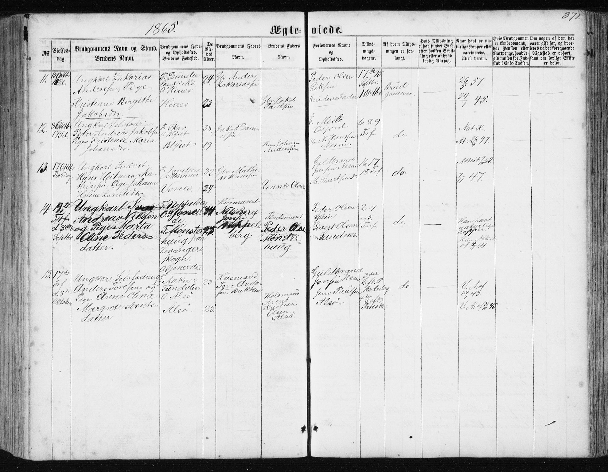 Ministerialprotokoller, klokkerbøker og fødselsregistre - Nordland, AV/SAT-A-1459/838/L0556: Parish register (copy) no. 838C03, 1861-1893, p. 371