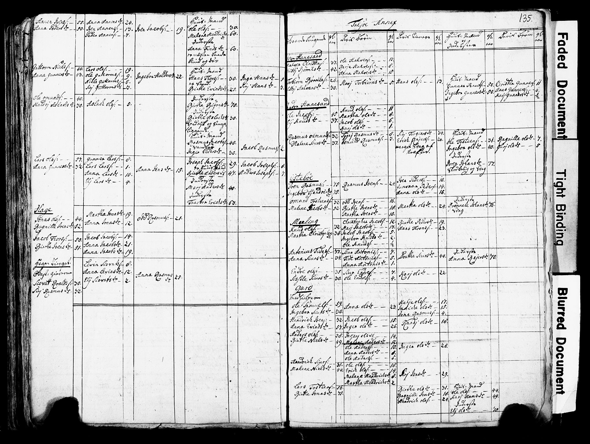 Fylkesmannen i Rogaland, AV/SAST-A-101928/99/3/325/325CA/L0016: SJELEREGISTER RYFYLKE PRESTEGJELD, 1758, p. 135