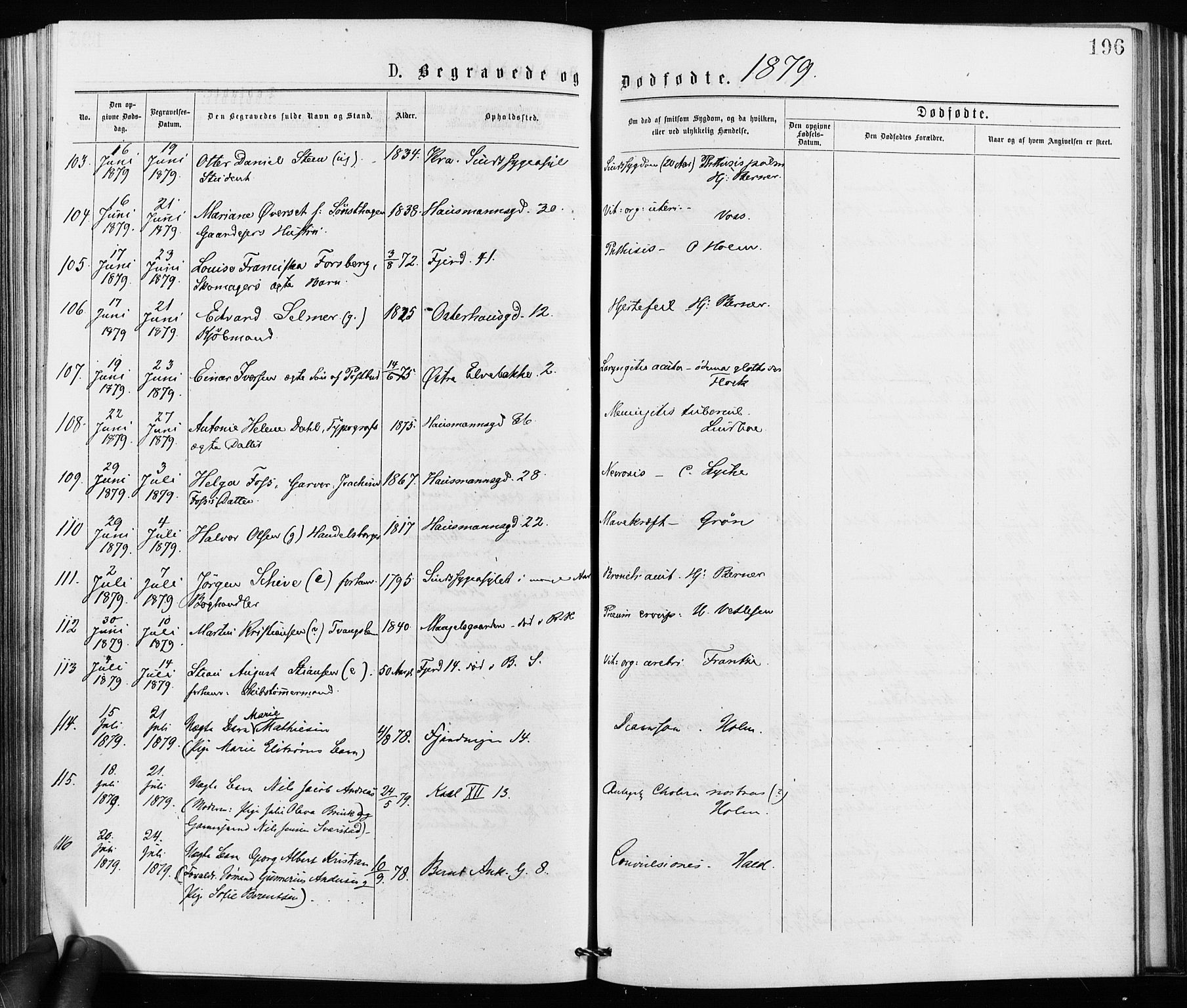Jakob prestekontor Kirkebøker, SAO/A-10850/F/Fa/L0002: Parish register (official) no. 2, 1875-1879, p. 196