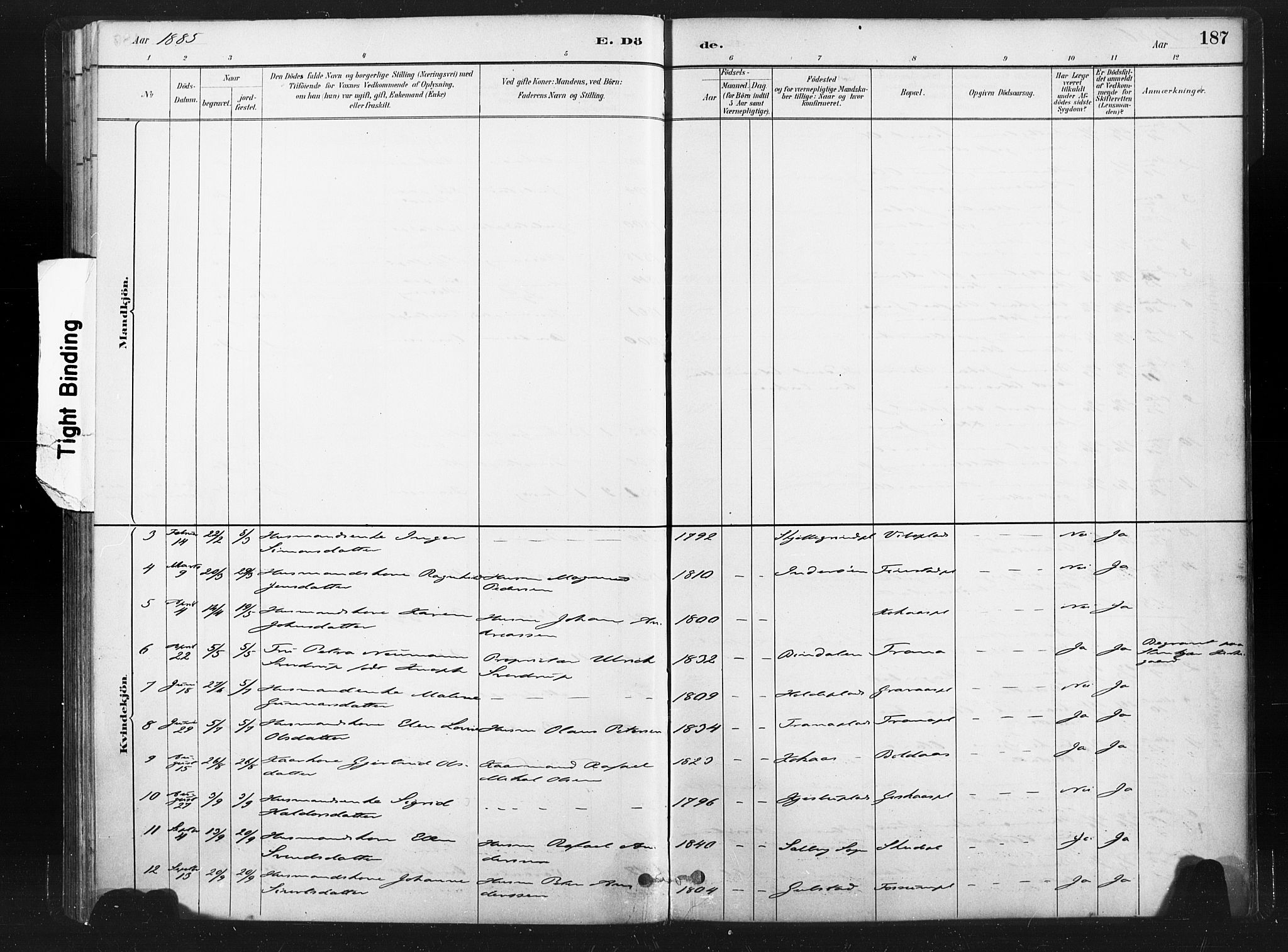 Ministerialprotokoller, klokkerbøker og fødselsregistre - Nord-Trøndelag, SAT/A-1458/736/L0361: Parish register (official) no. 736A01, 1884-1906, p. 187