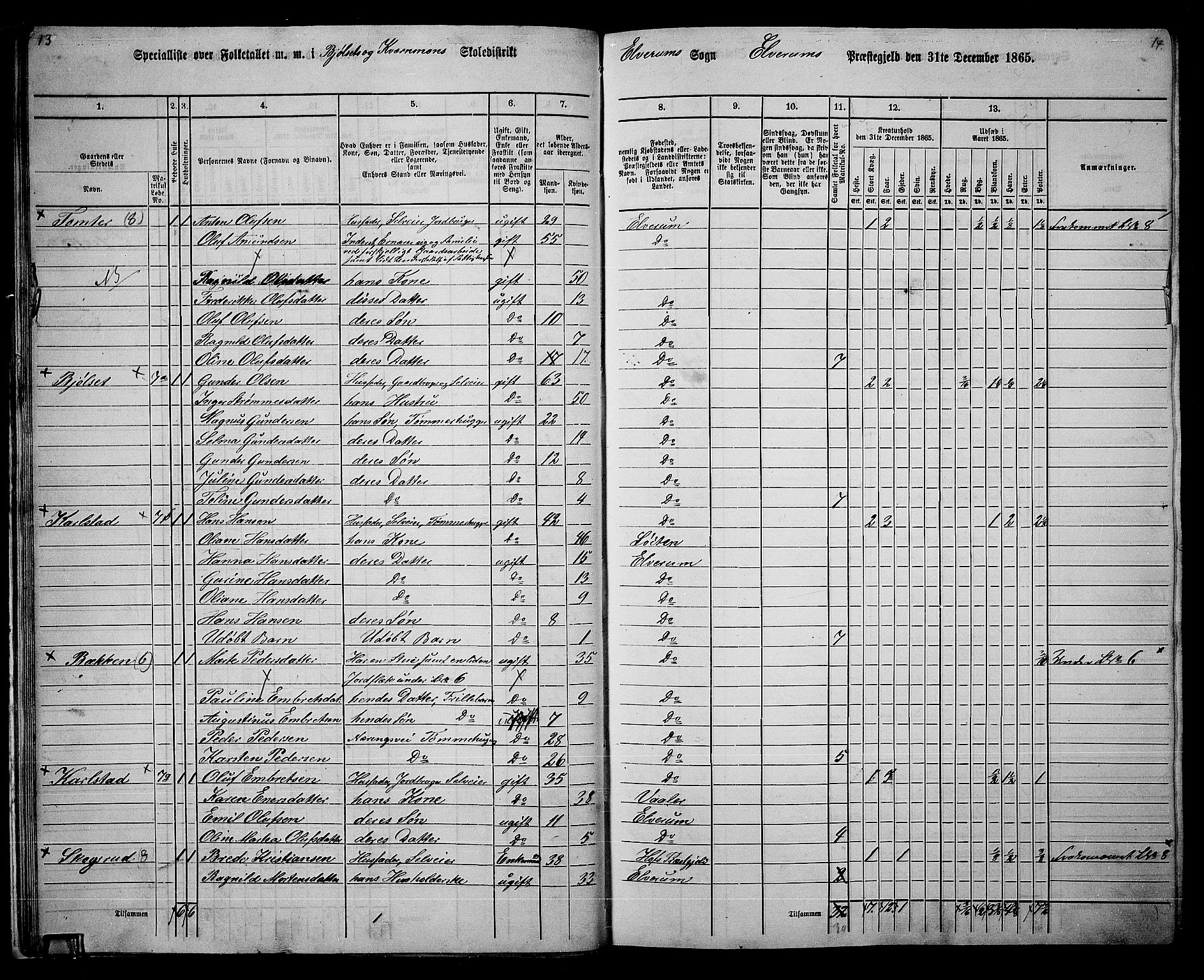 RA, 1865 census for Elverum, 1865, p. 18