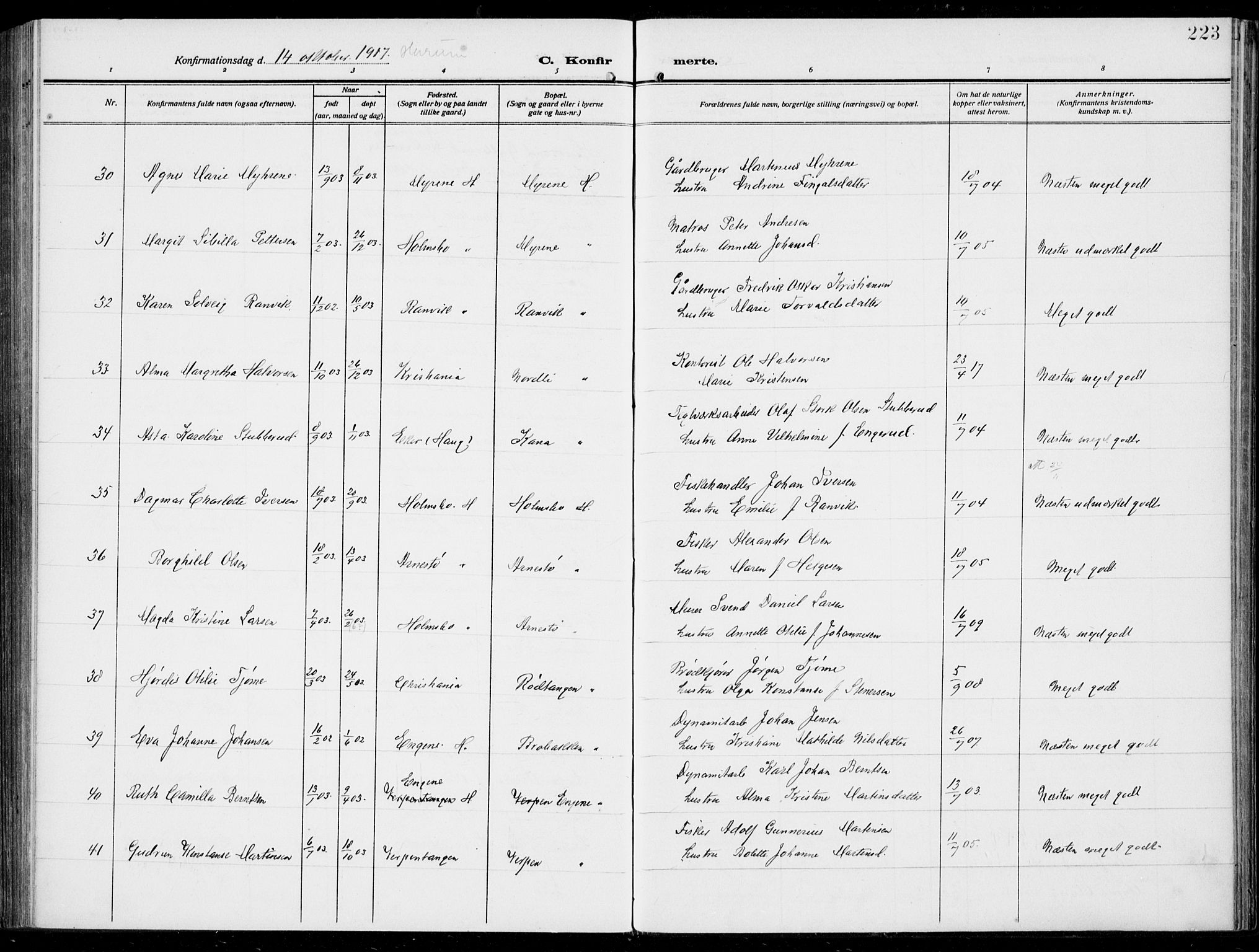 Hurum kirkebøker, SAKO/A-229/F/Fa/L0016: Parish register (official) no. 16, 1899-1918, p. 223