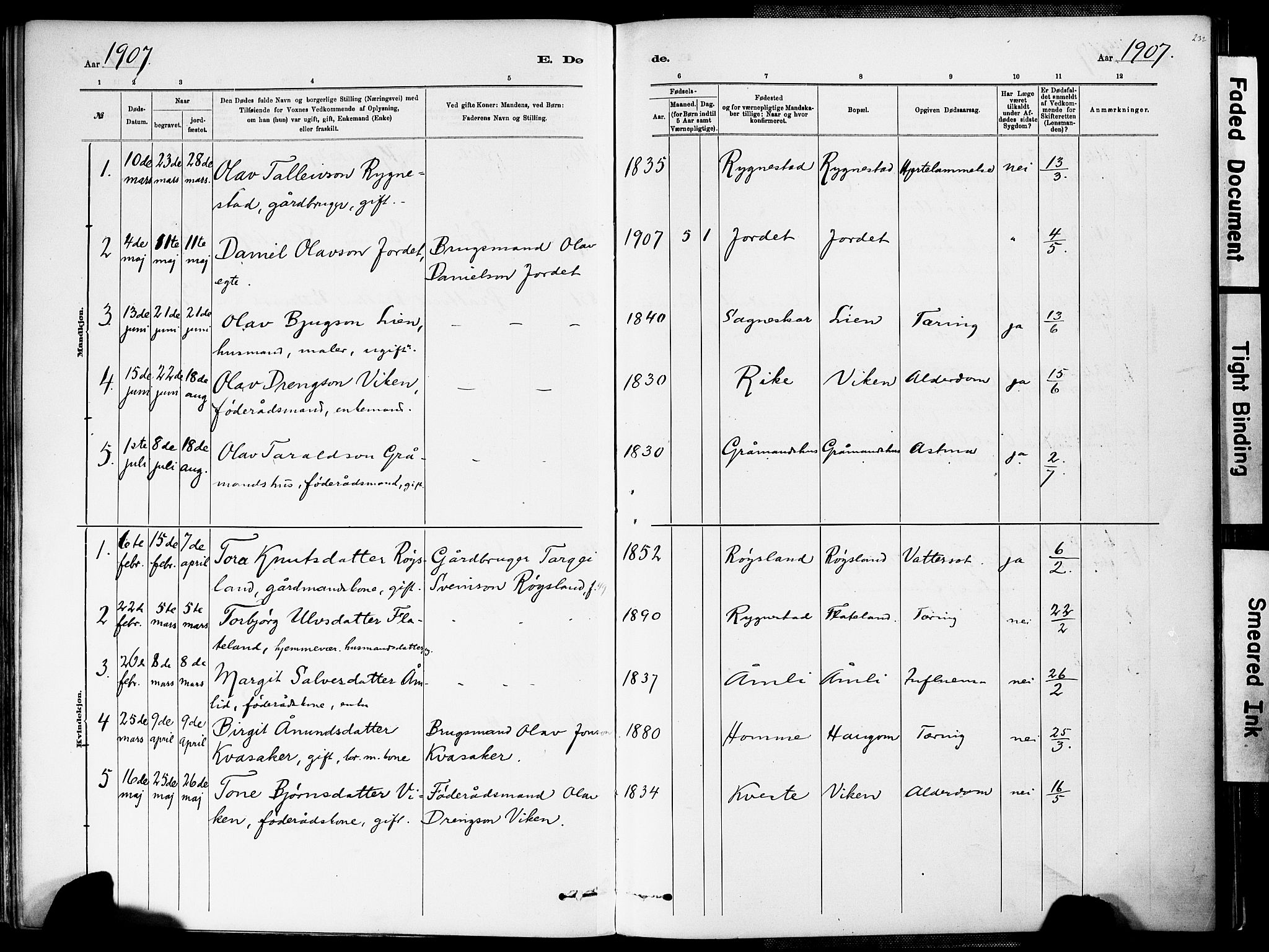 Valle sokneprestkontor, AV/SAK-1111-0044/F/Fa/Fac/L0009: Parish register (official) no. A 9, 1882-1913, p. 232