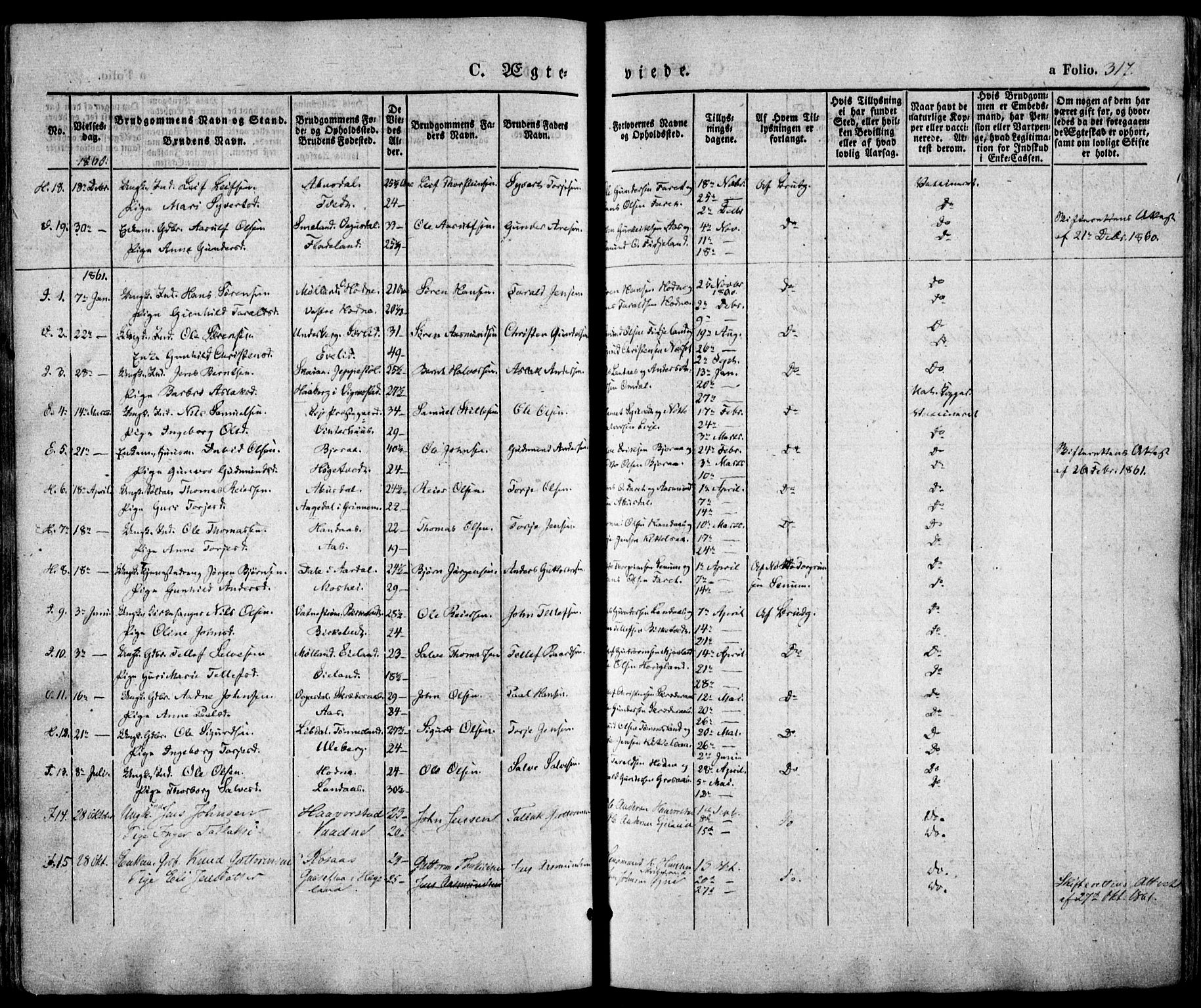 Evje sokneprestkontor, SAK/1111-0008/F/Fa/Faa/L0005: Parish register (official) no. A 5, 1843-1865, p. 317
