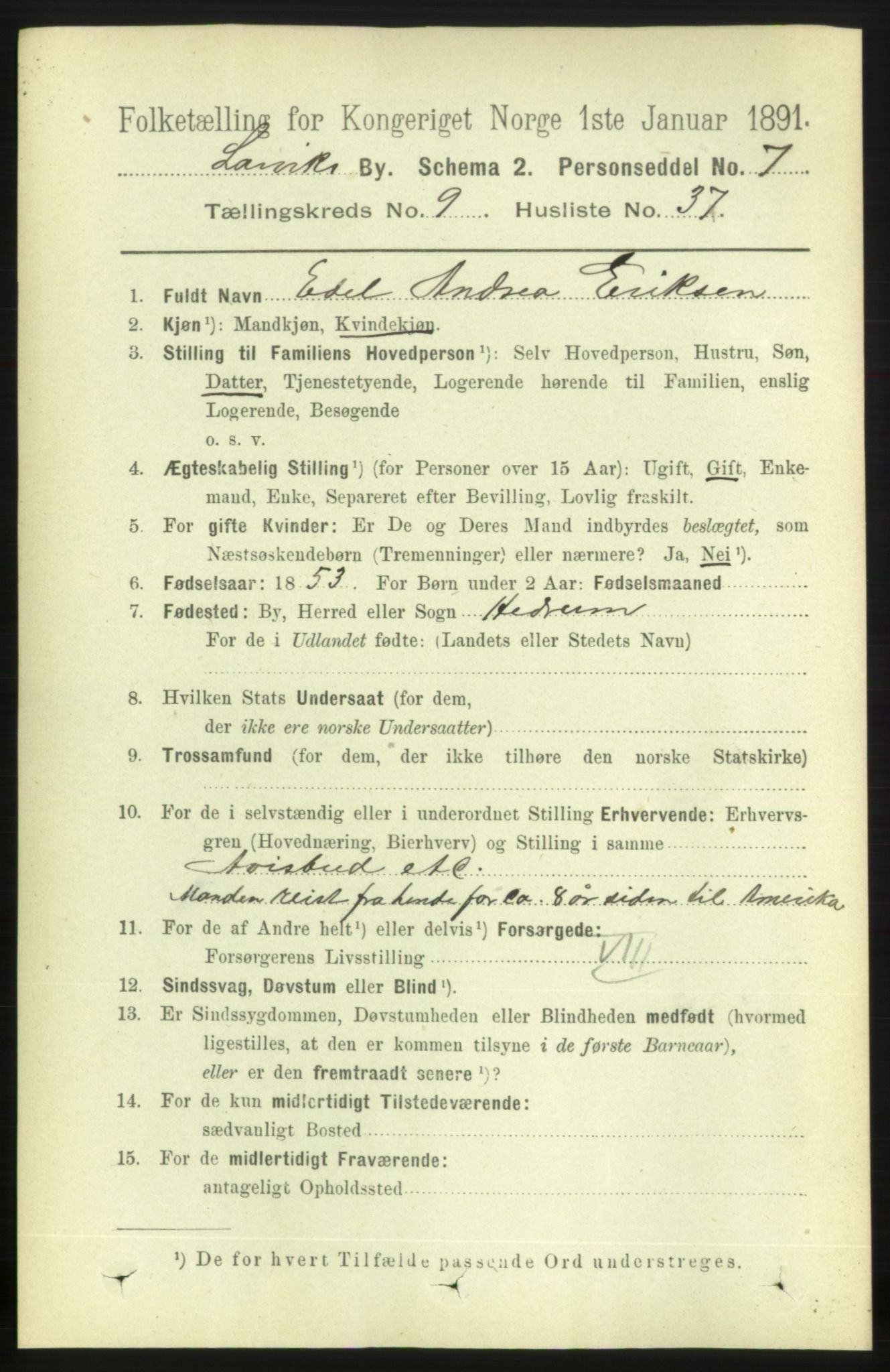 RA, 1891 census for 0707 Larvik, 1891, p. 8865