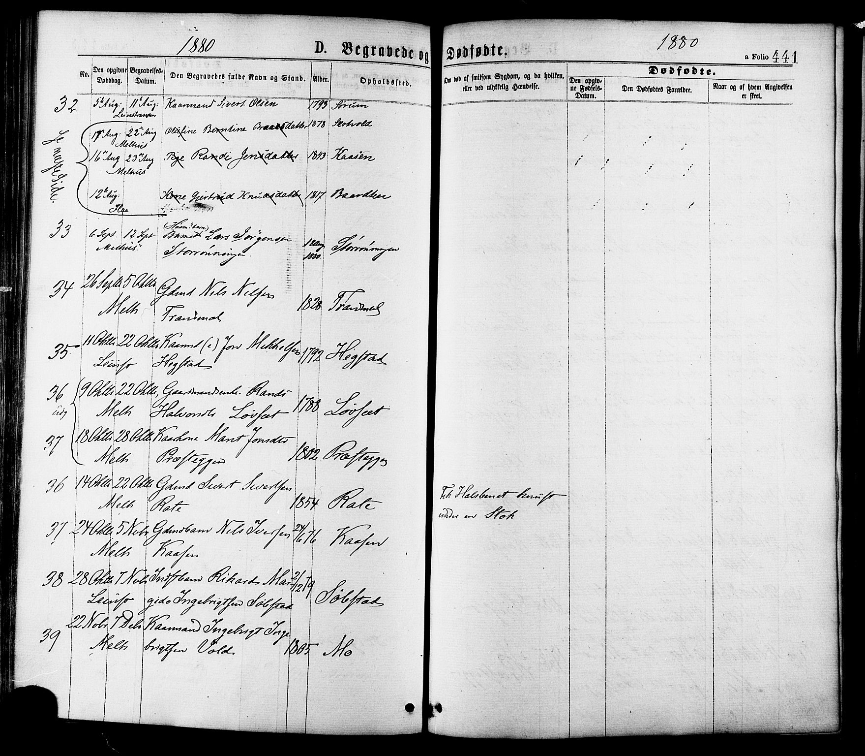 Ministerialprotokoller, klokkerbøker og fødselsregistre - Sør-Trøndelag, SAT/A-1456/691/L1079: Parish register (official) no. 691A11, 1873-1886, p. 441