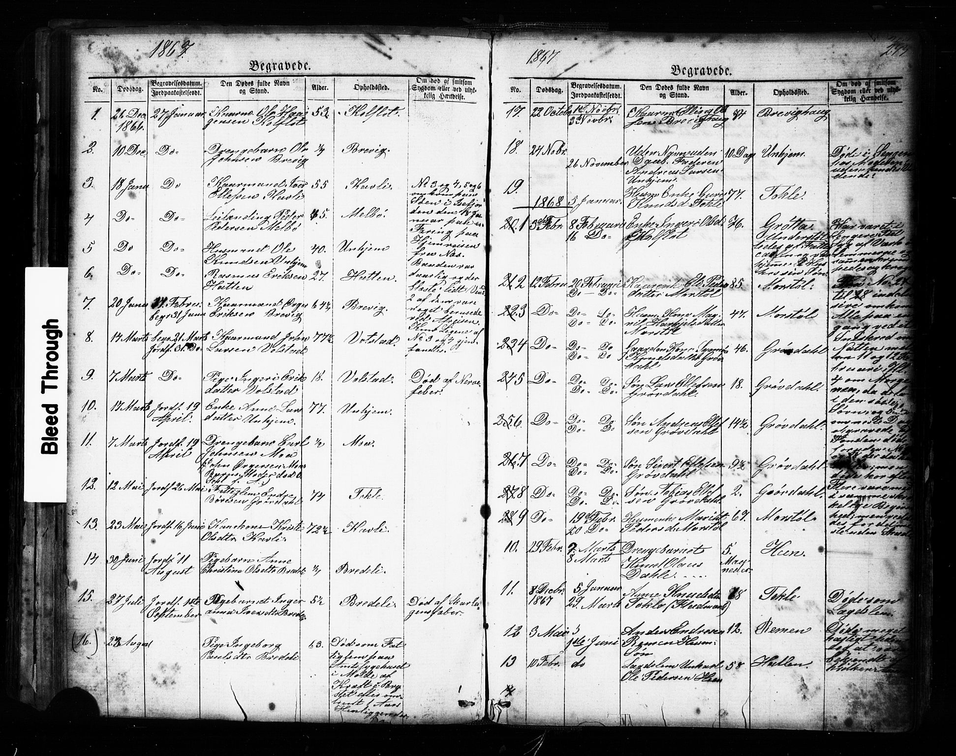 Ministerialprotokoller, klokkerbøker og fødselsregistre - Møre og Romsdal, SAT/A-1454/545/L0588: Parish register (copy) no. 545C02, 1867-1902, p. 243