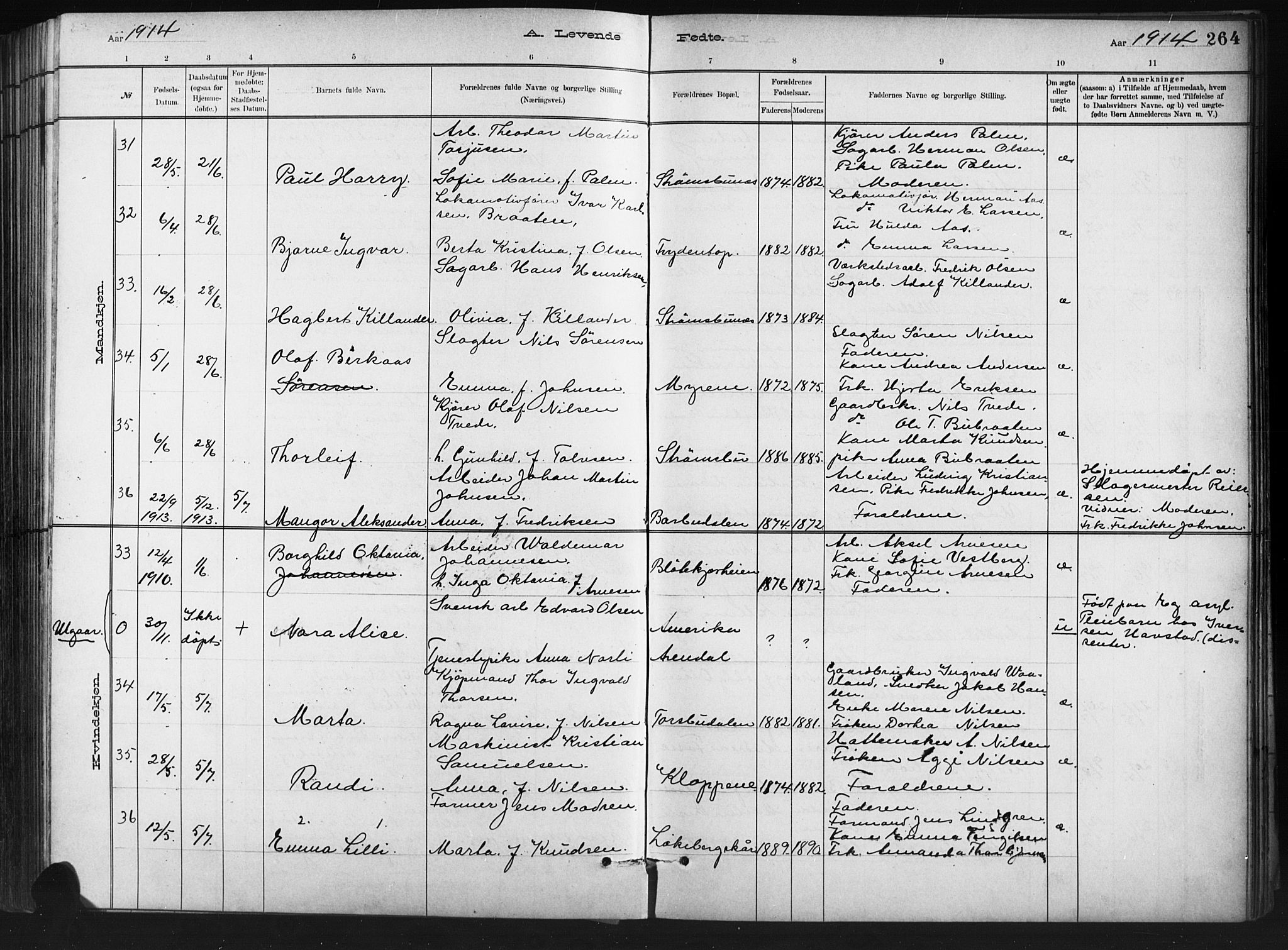 Barbu sokneprestkontor, AV/SAK-1111-0003/F/Fb/L0002: Parish register (copy) no. B 2, 1890-1922, p. 264