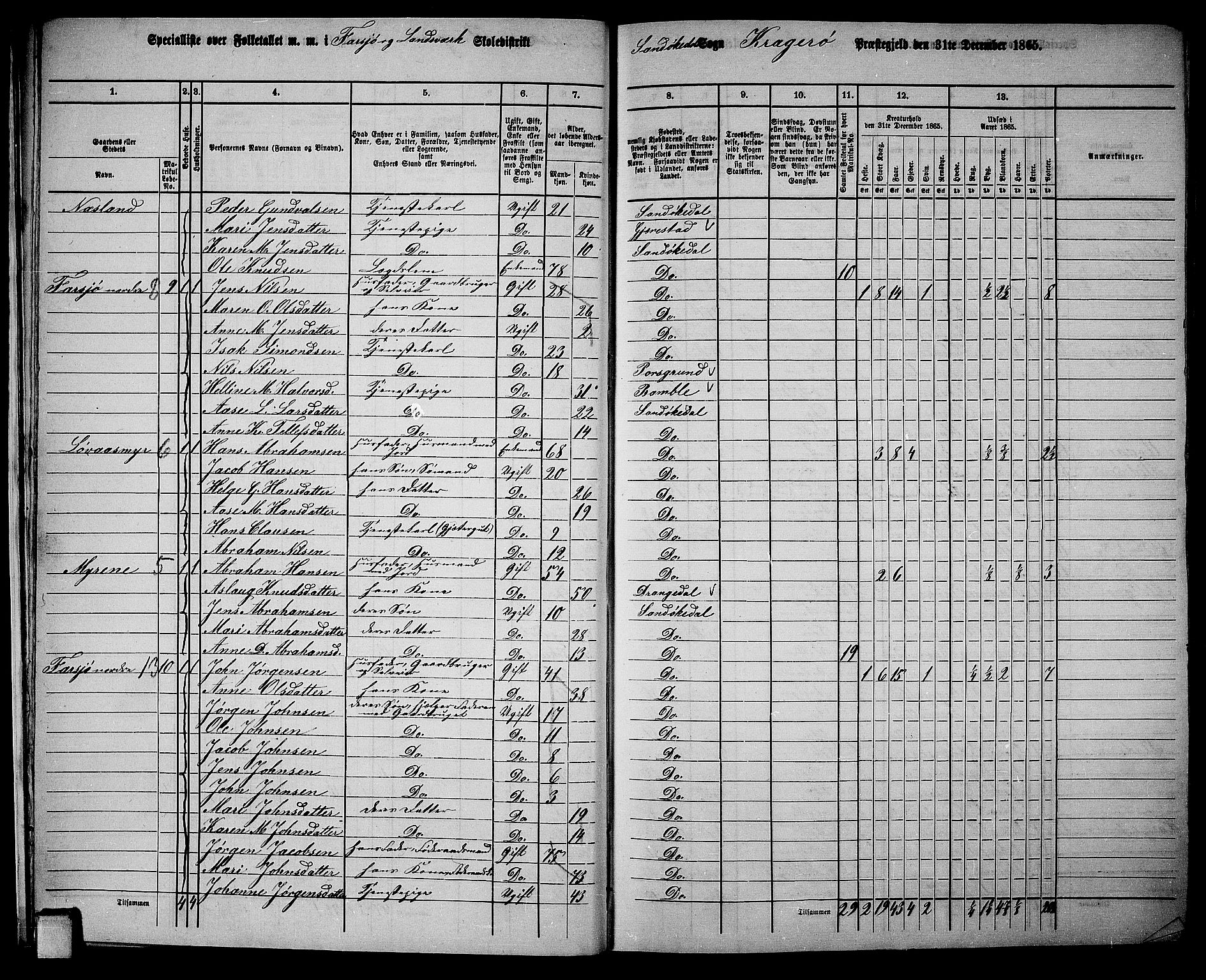 RA, 1865 census for Kragerø/Sannidal og Skåtøy, 1865, p. 17