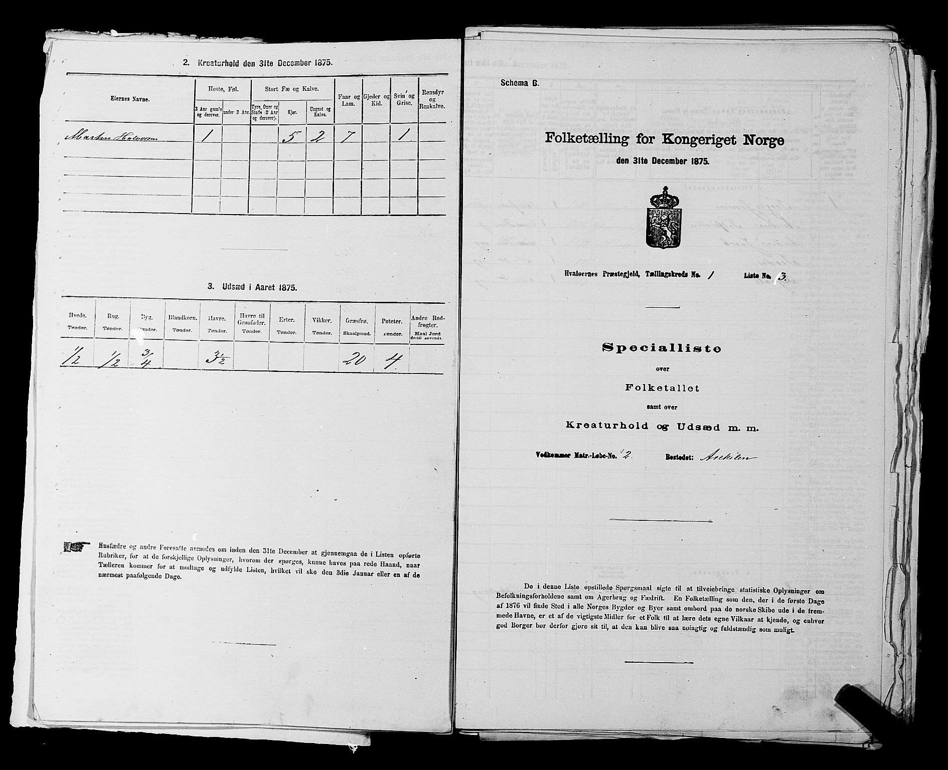 RA, 1875 census for 0111P Hvaler, 1875, p. 35