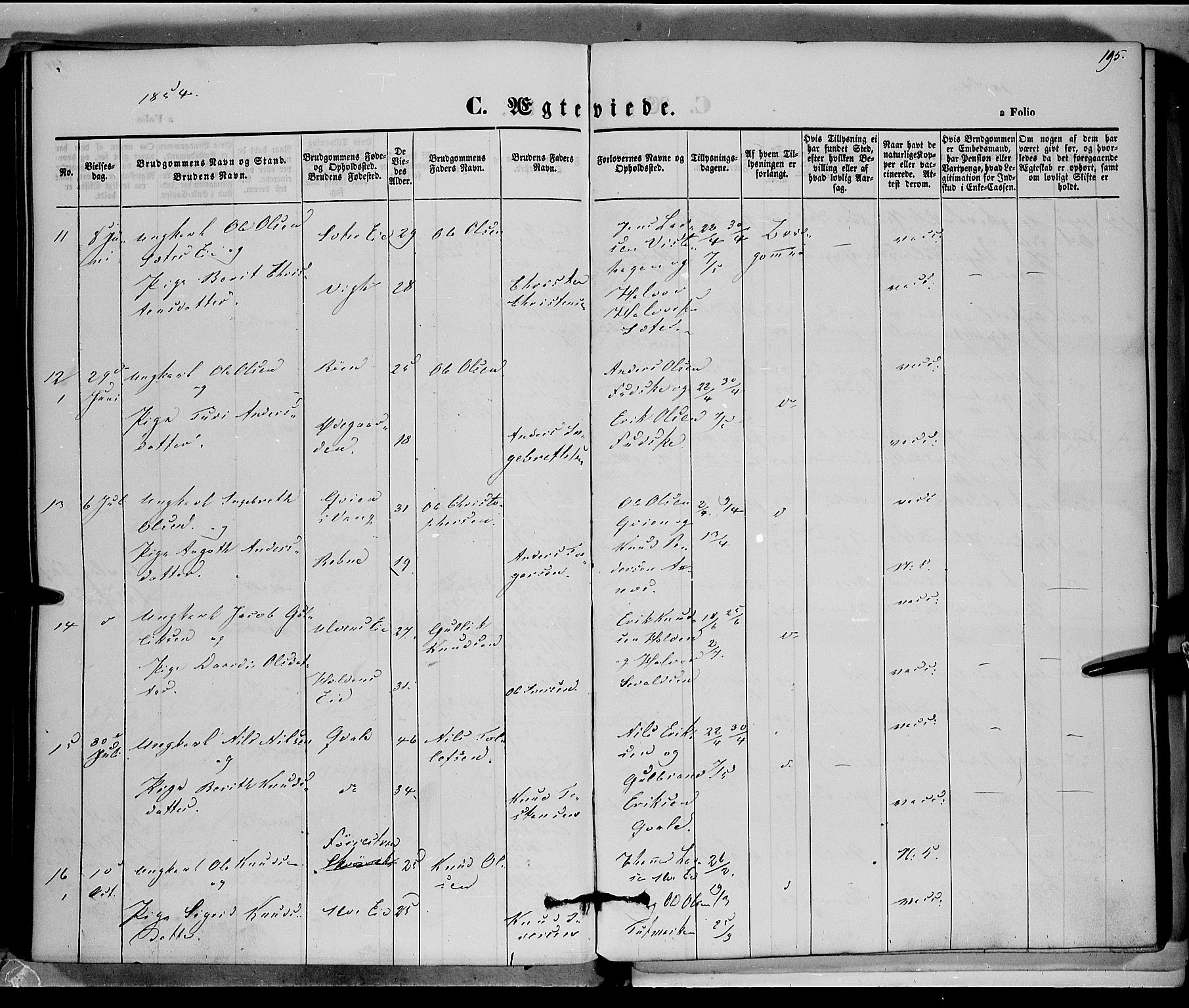 Vestre Slidre prestekontor, AV/SAH-PREST-136/H/Ha/Haa/L0001: Parish register (official) no. 1, 1844-1855, p. 195