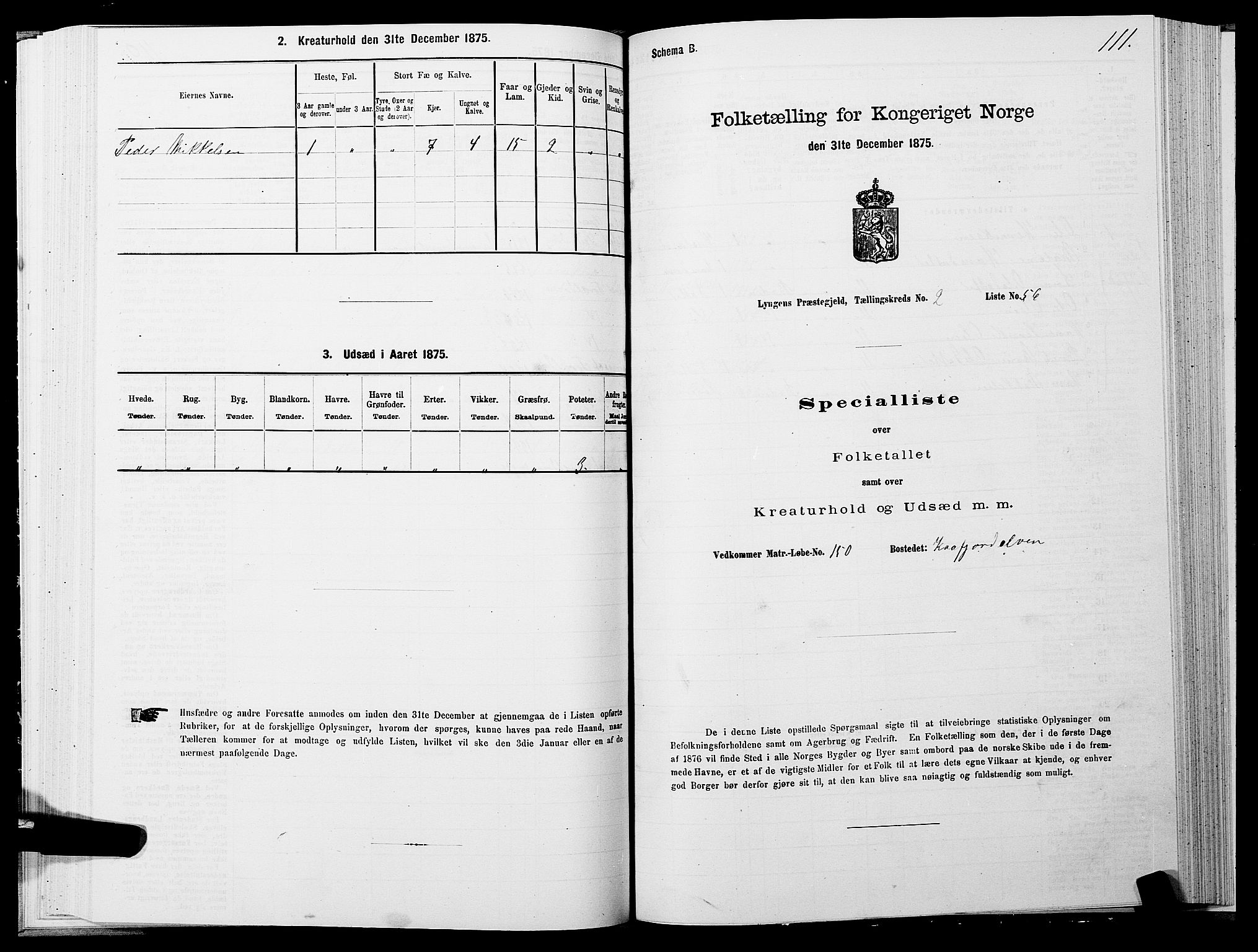 SATØ, 1875 census for 1938P Lyngen, 1875, p. 2111