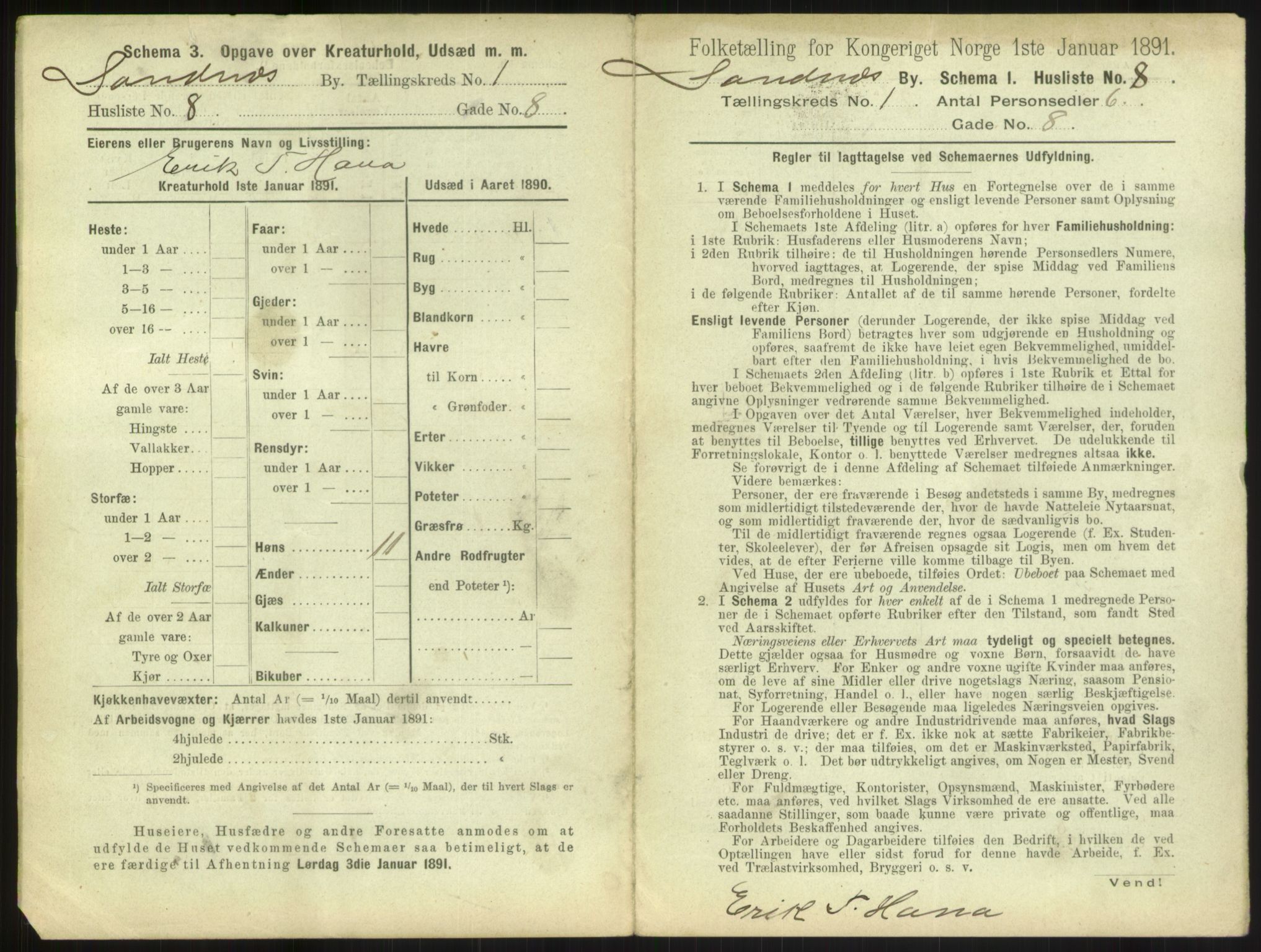 RA, 1891 census for 1102 Sandnes, 1891, p. 29