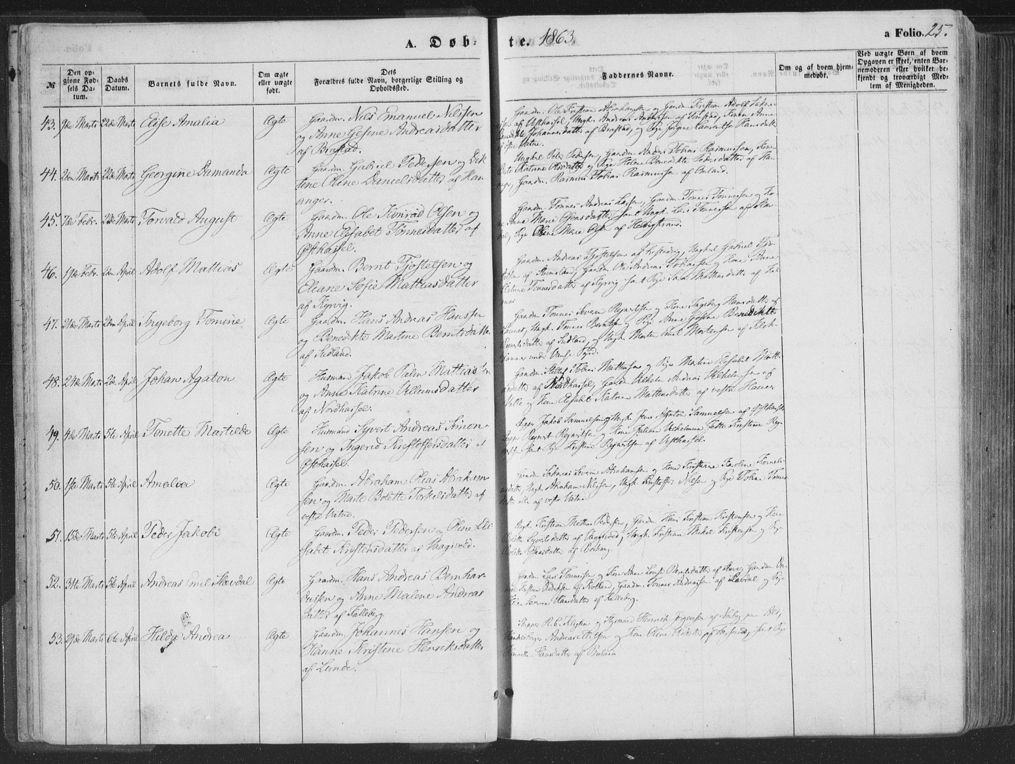 Lista sokneprestkontor, AV/SAK-1111-0027/F/Fa/L0011: Parish register (official) no. A 11, 1861-1878, p. 25