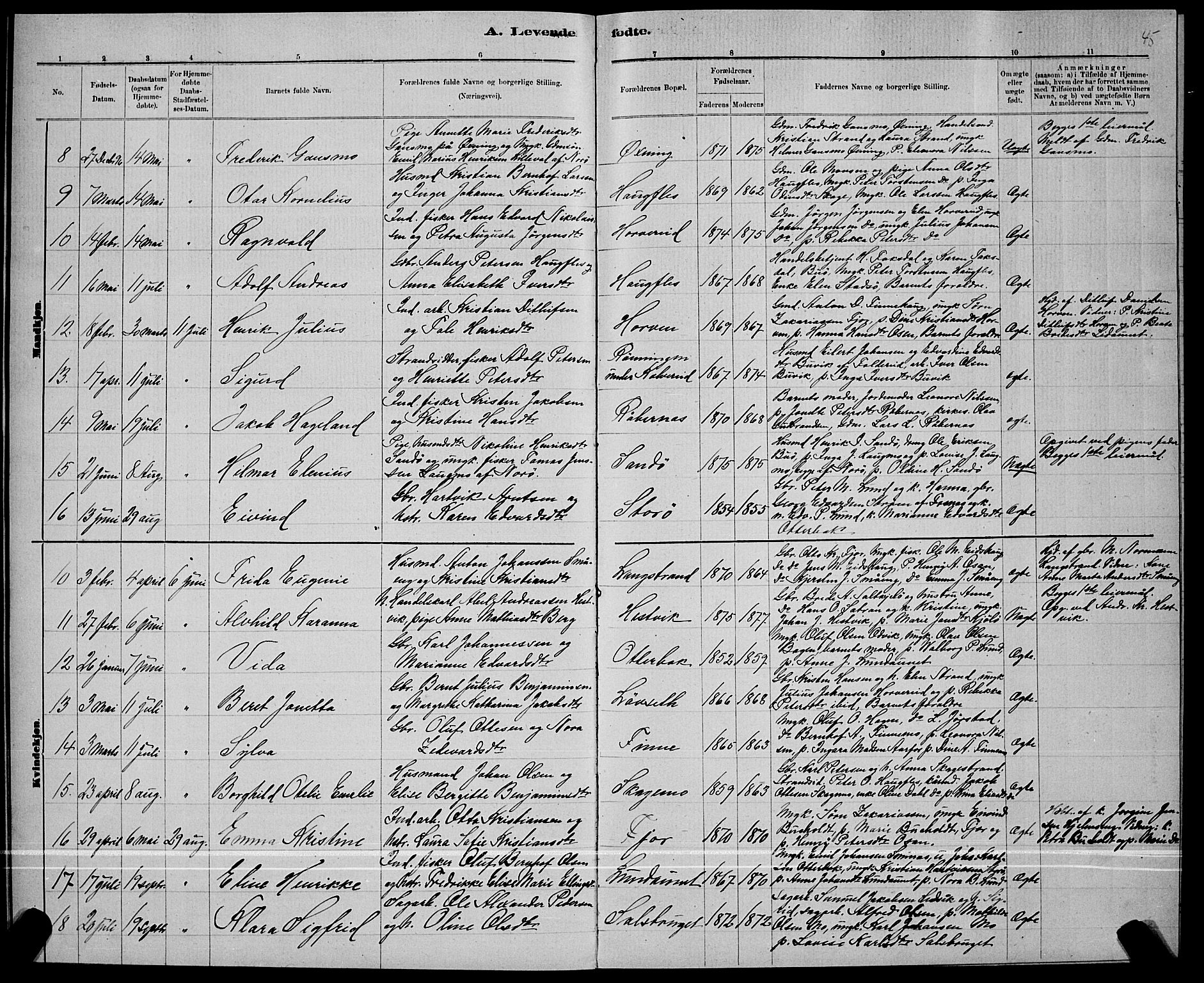 Ministerialprotokoller, klokkerbøker og fødselsregistre - Nord-Trøndelag, AV/SAT-A-1458/780/L0651: Parish register (copy) no. 780C03, 1884-1898, p. 45