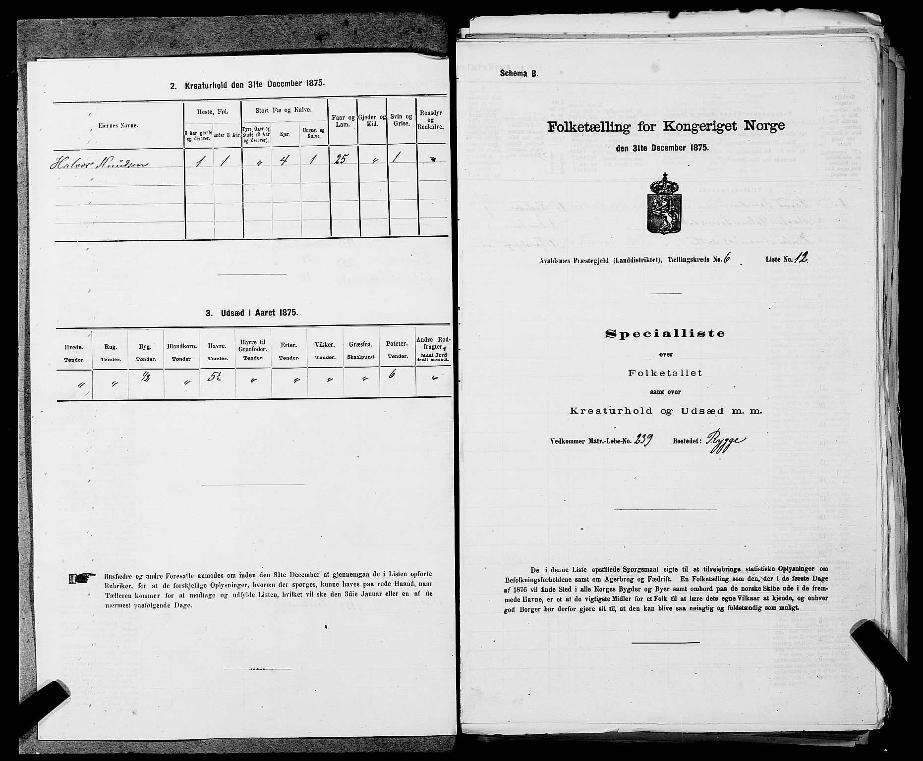 SAST, 1875 census for 1147L Avaldsnes/Avaldsnes og Kopervik, 1875, p. 902