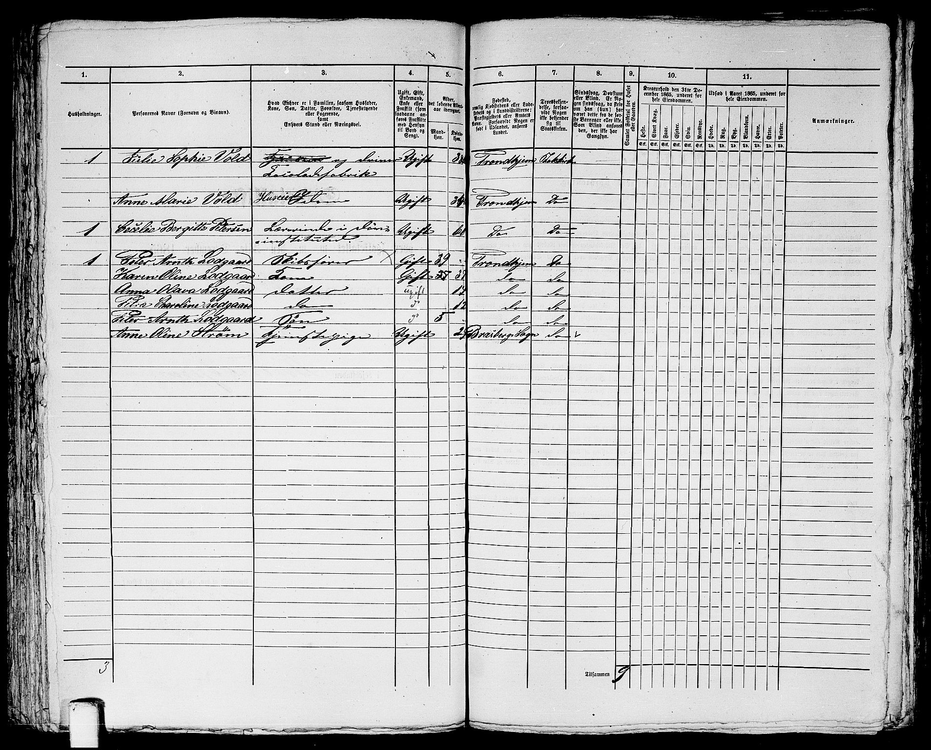 RA, 1865 census for Trondheim, 1865, p. 1727