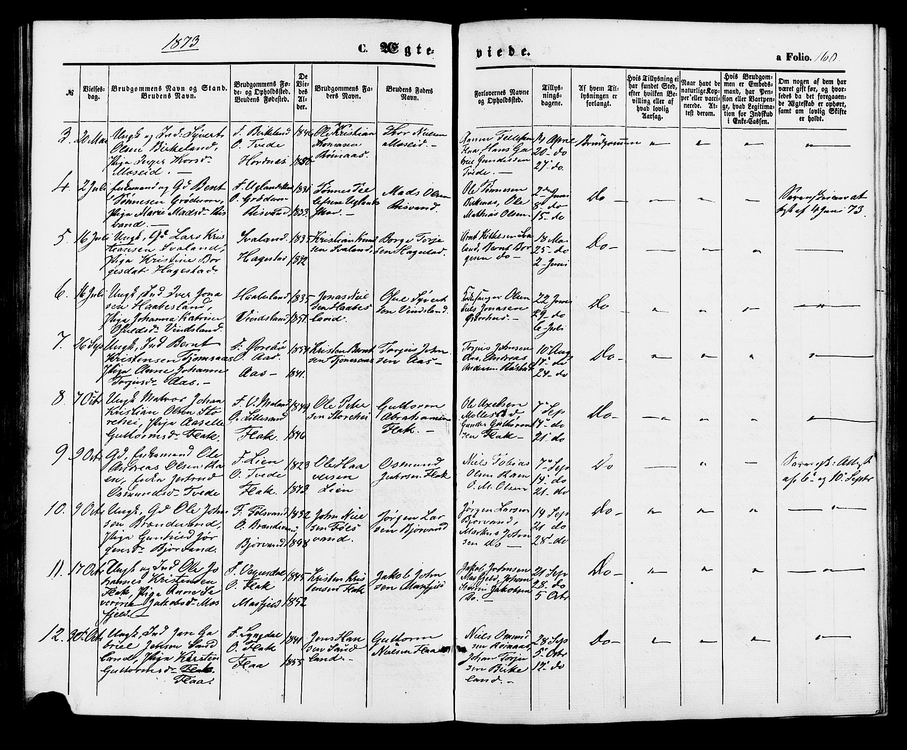 Birkenes sokneprestkontor, AV/SAK-1111-0004/F/Fa/L0004: Parish register (official) no. A 4, 1867-1886, p. 160