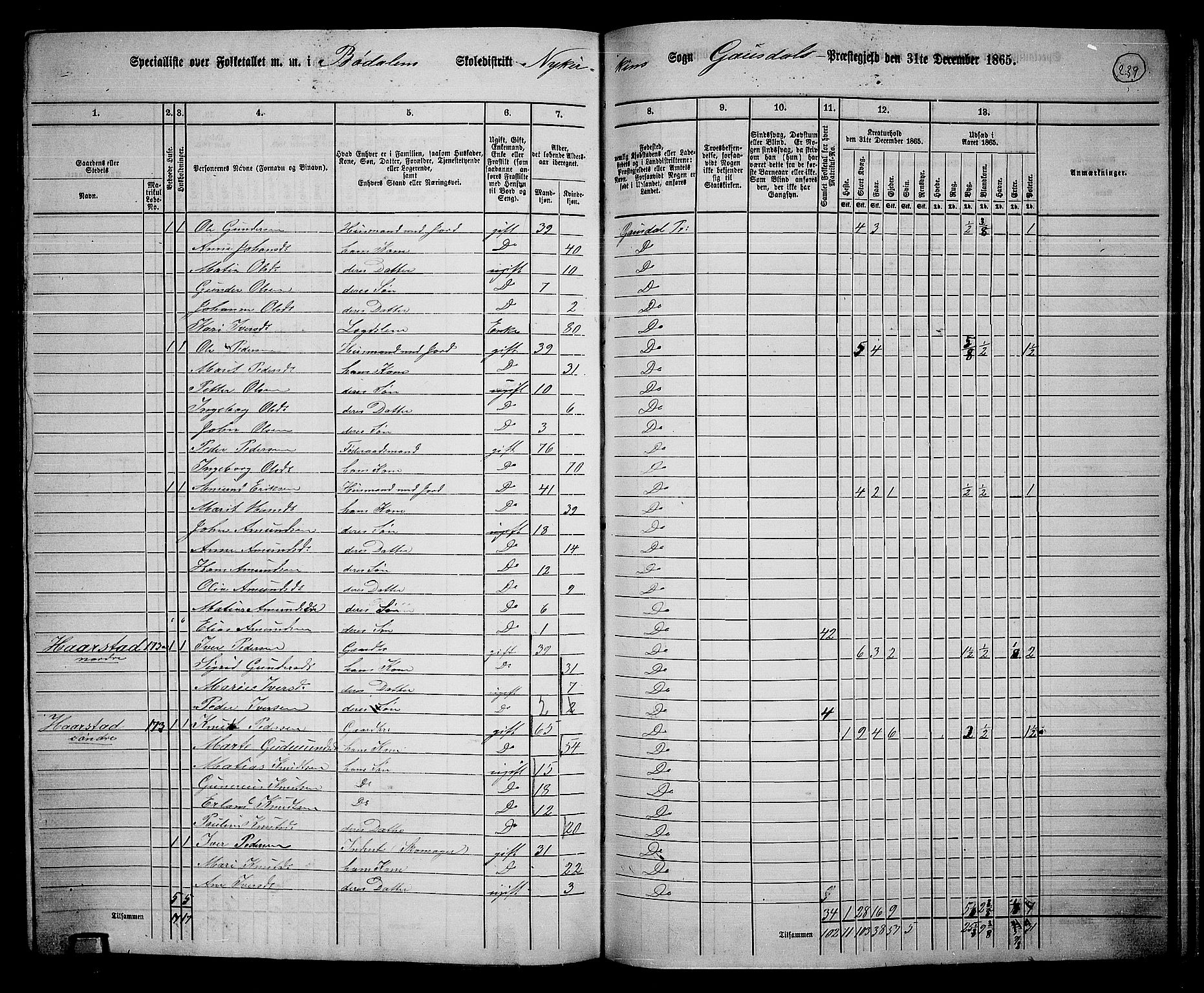 RA, 1865 census for Gausdal, 1865, p. 205