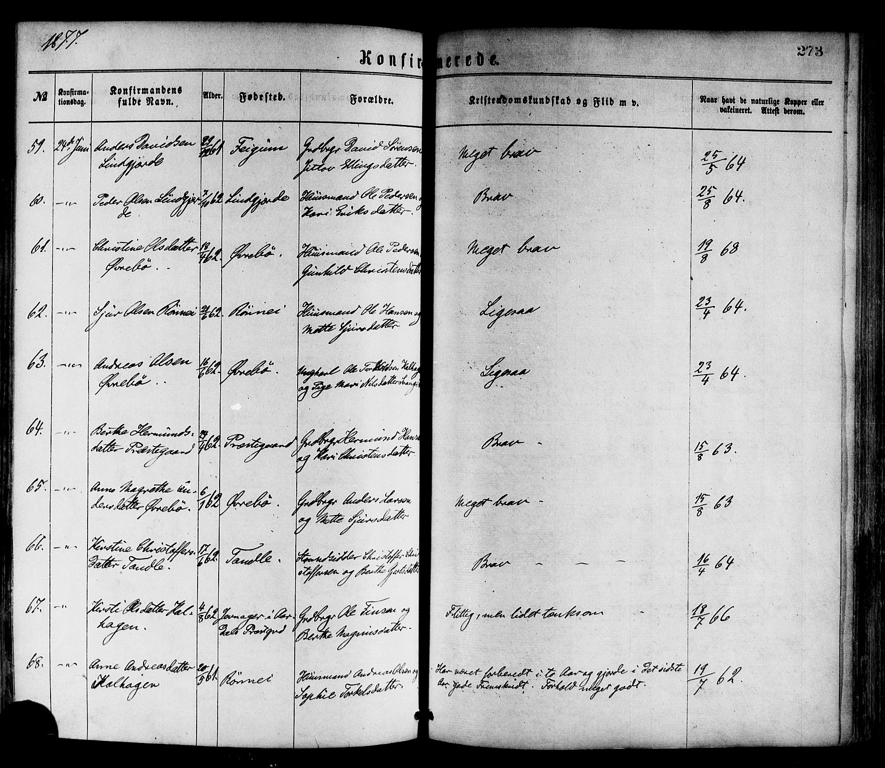 Luster sokneprestembete, AV/SAB-A-81101/H/Haa/Haaa/L0010: Parish register (official) no. A 10, 1871-1886, p. 273