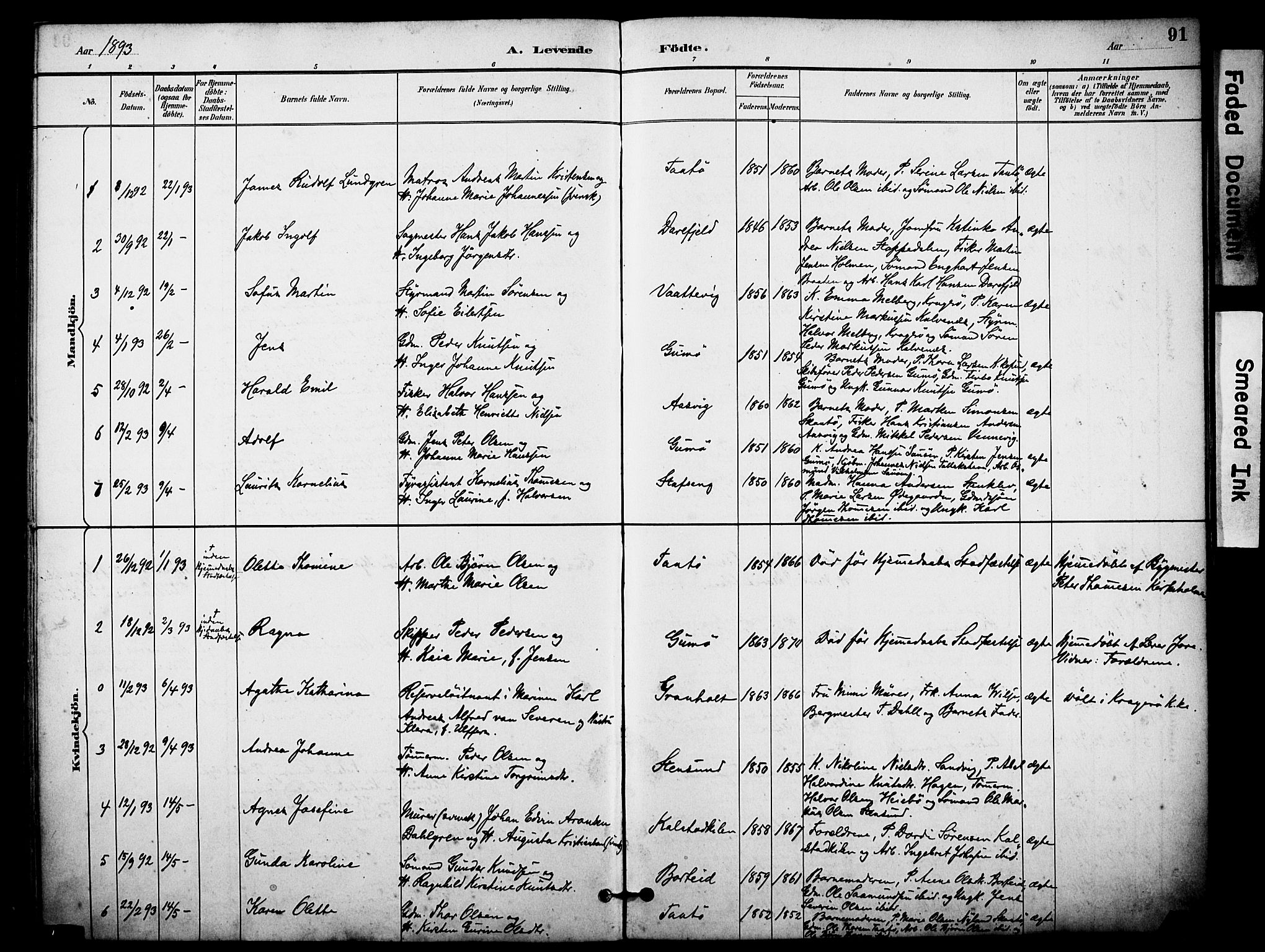 Skåtøy kirkebøker, SAKO/A-304/F/Fa/L0002: Parish register (official) no. I 2, 1884-1899, p. 91