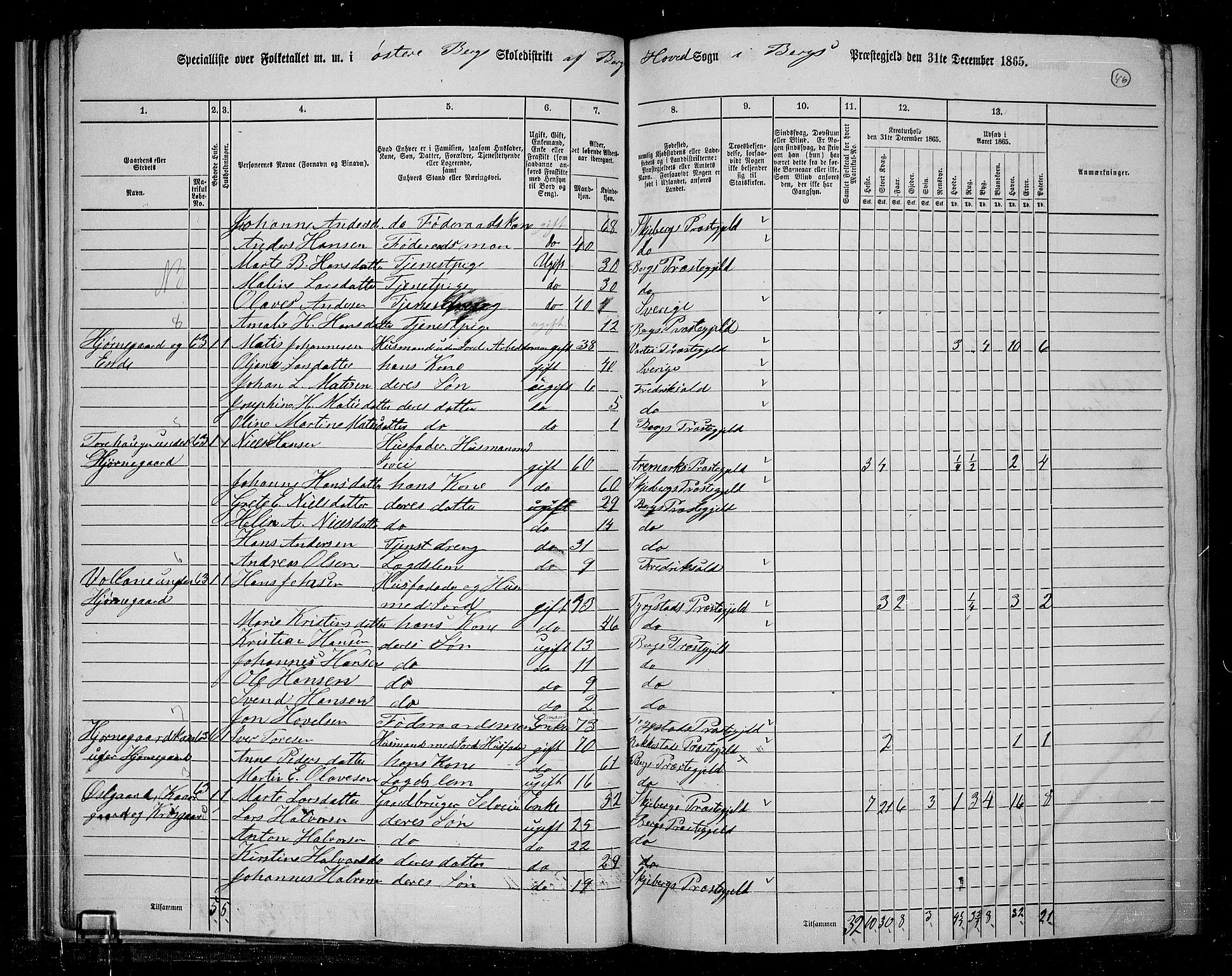 RA, 1865 census for Berg, 1865, p. 43