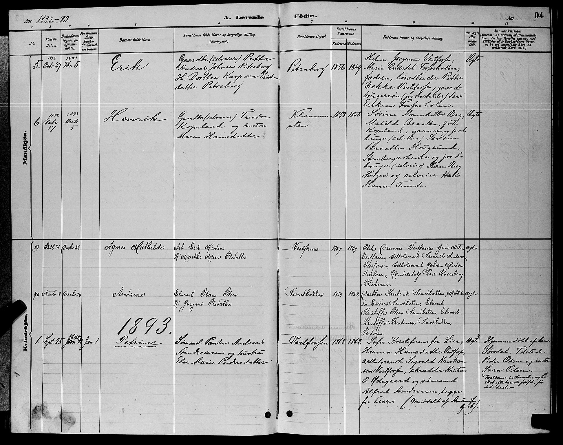 Eiker kirkebøker, AV/SAKO-A-4/G/Ga/L0006: Parish register (copy) no. I 6, 1885-1893, p. 94