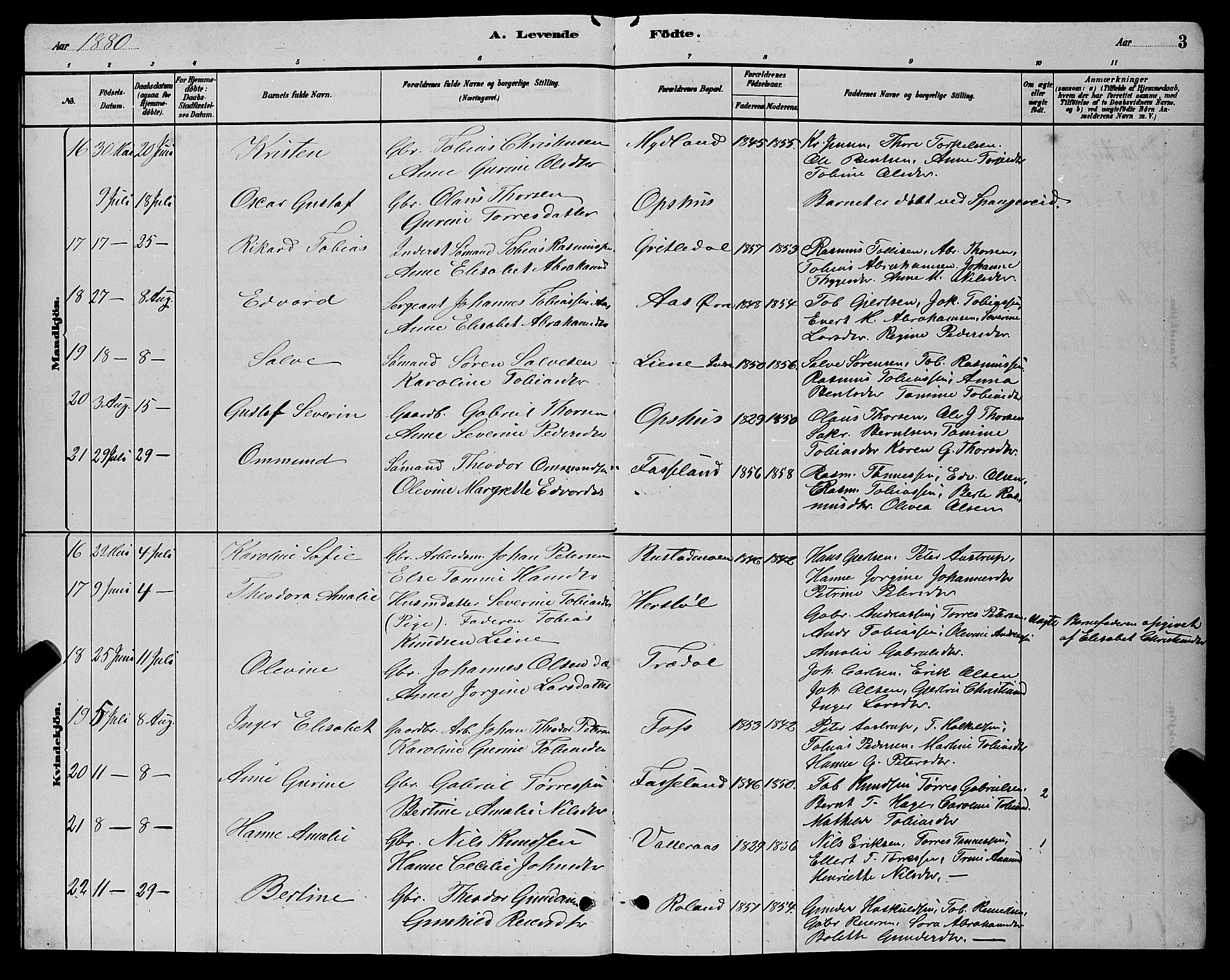 Sør-Audnedal sokneprestkontor, AV/SAK-1111-0039/F/Fb/Fbb/L0005: Parish register (copy) no. B 5, 1880-1892, p. 3