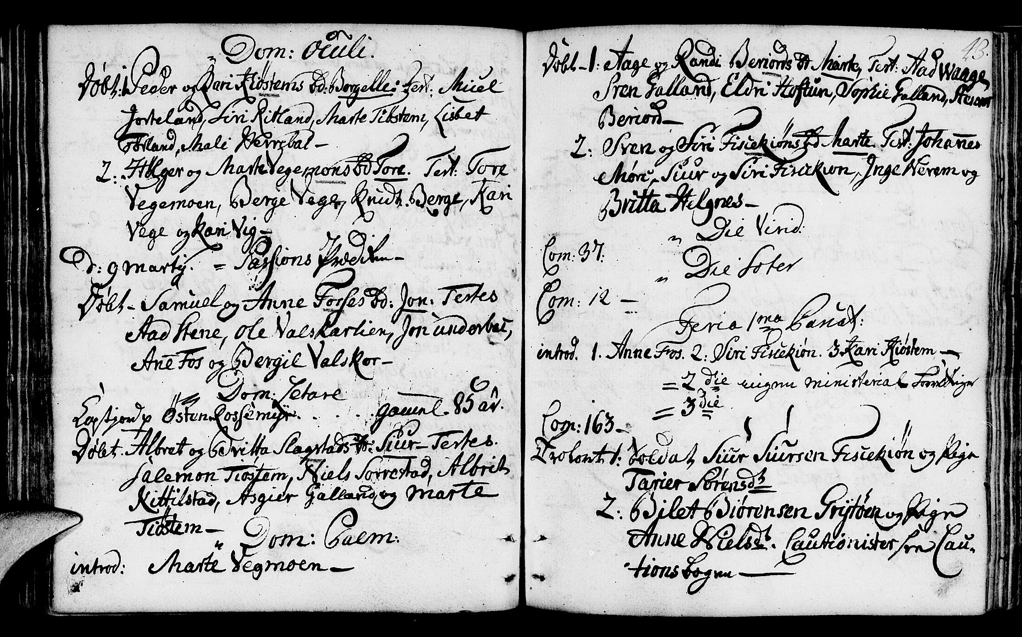 Suldal sokneprestkontor, AV/SAST-A-101845/01/IV/L0003: Parish register (official) no. A 3, 1780-1800, p. 43