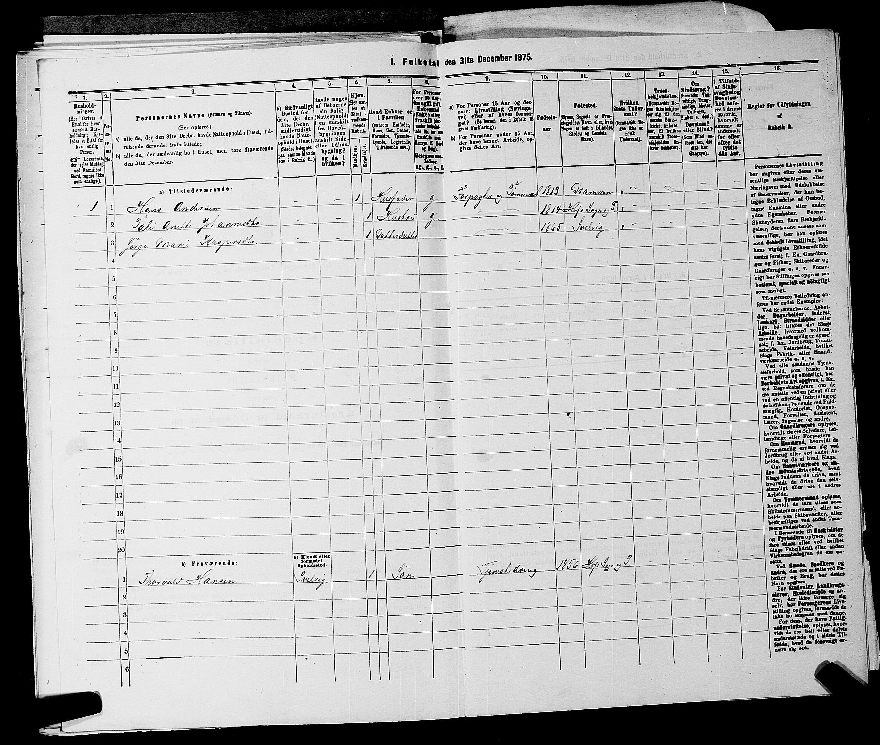 SAKO, 1875 census for 0714P Hof, 1875, p. 260