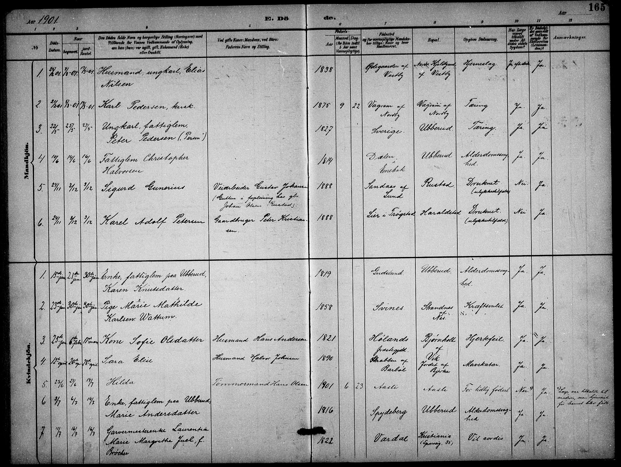 Enebakk prestekontor Kirkebøker, AV/SAO-A-10171c/G/Gb/L0002: Parish register (copy) no. II 2, 1891-1903, p. 165