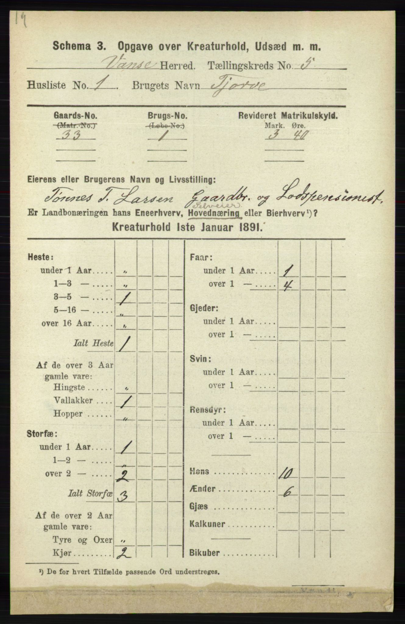 RA, 1891 census for 1041 Vanse, 1891, p. 8735