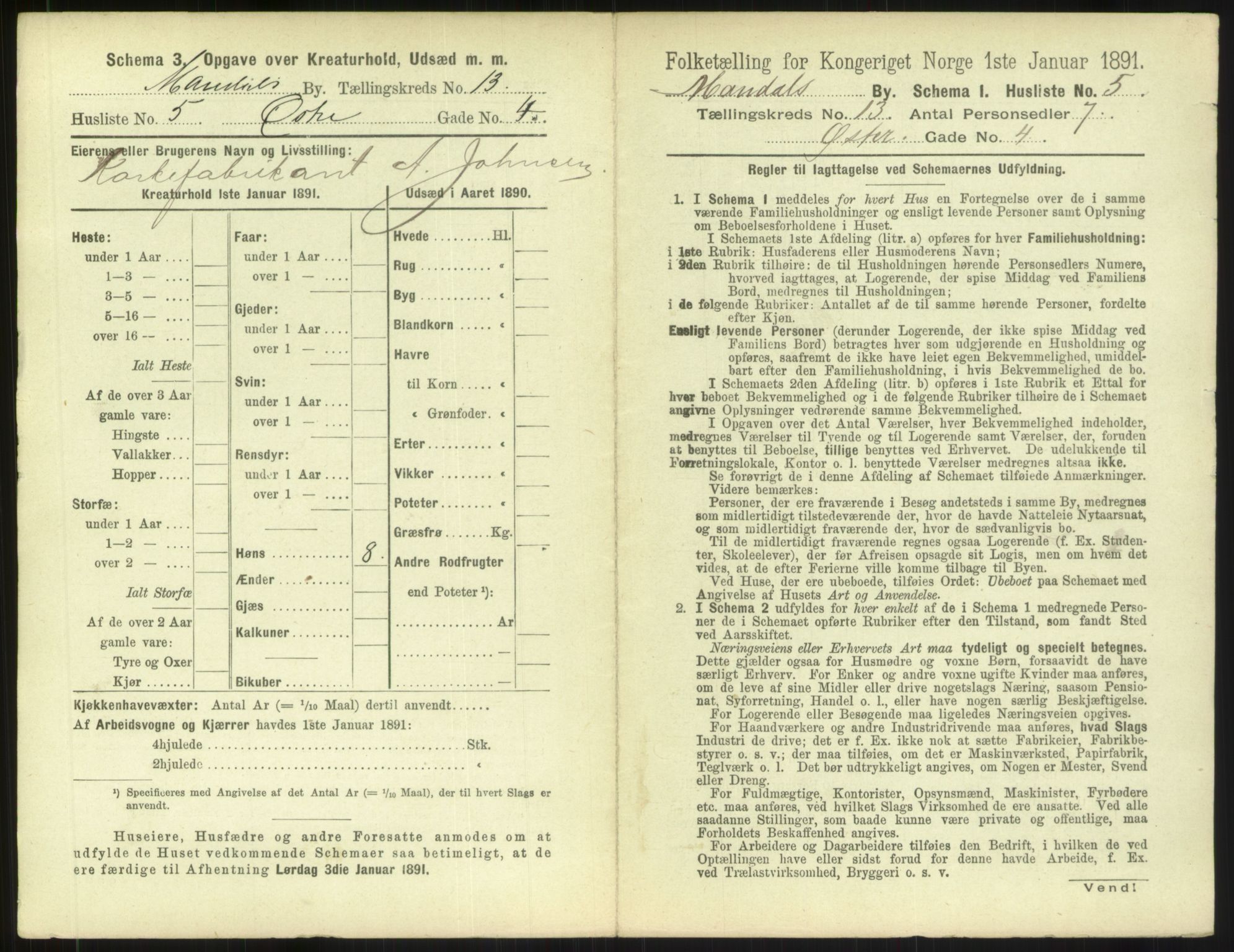 RA, 1891 census for 1002 Mandal, 1891, p. 593