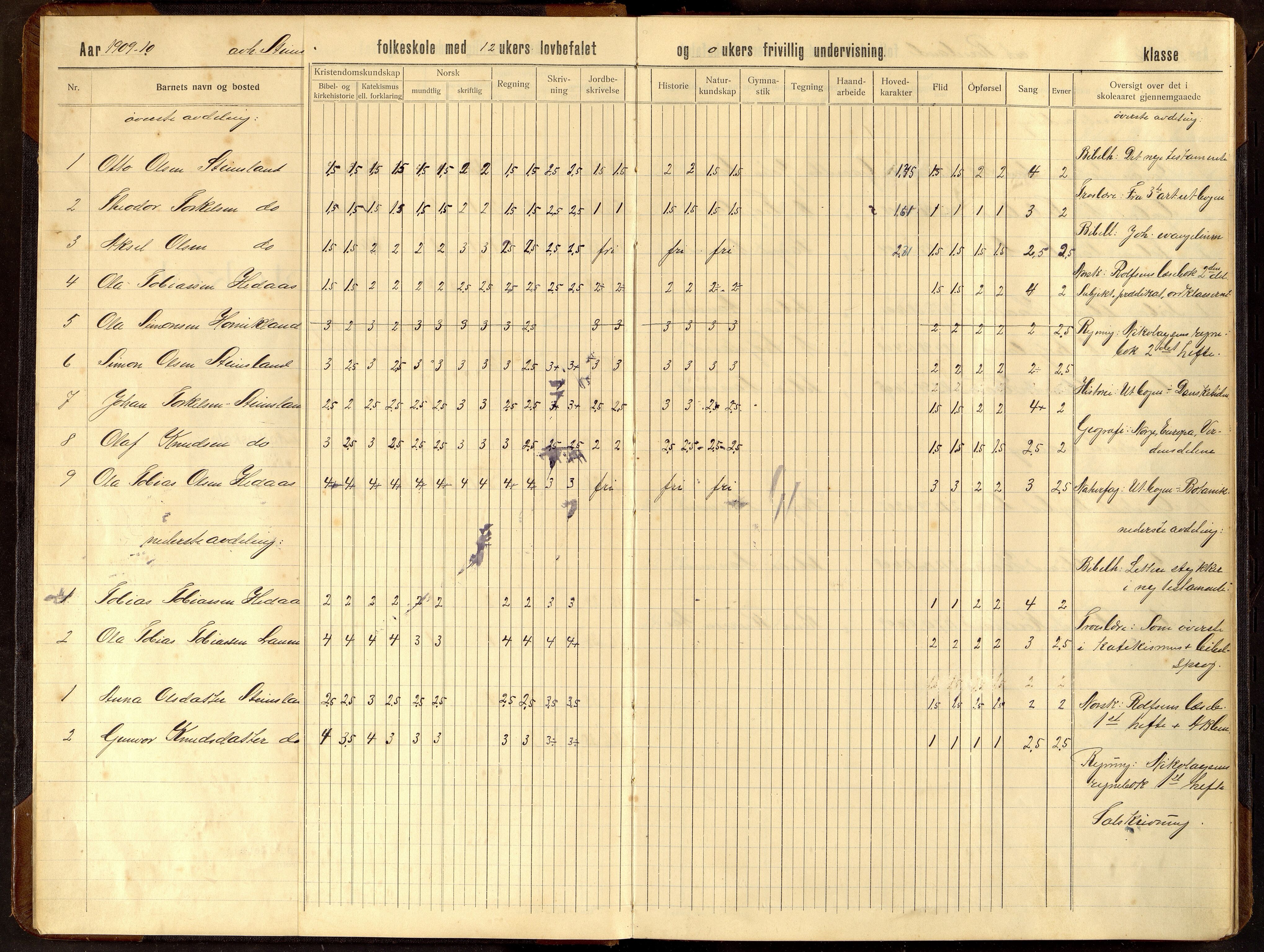 Hægebostad kommune - Røyseland Skole, ARKSOR/1034HG551/H/L0003: Skoleprotokoll, 1909-1924