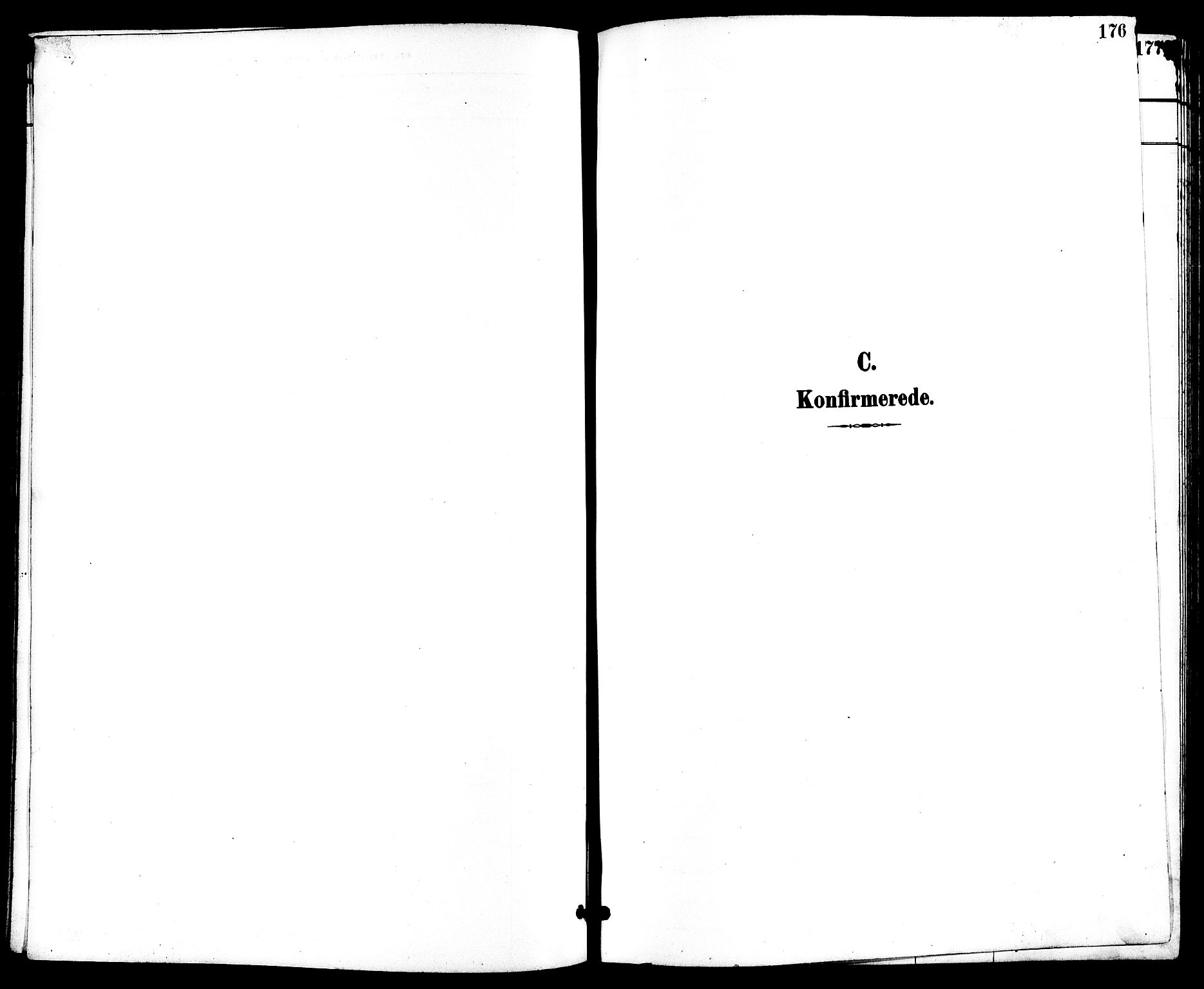 Nøtterøy kirkebøker, SAKO/A-354/G/Ga/L0004: Parish register (copy) no. I 4, 1894-1909, p. 176