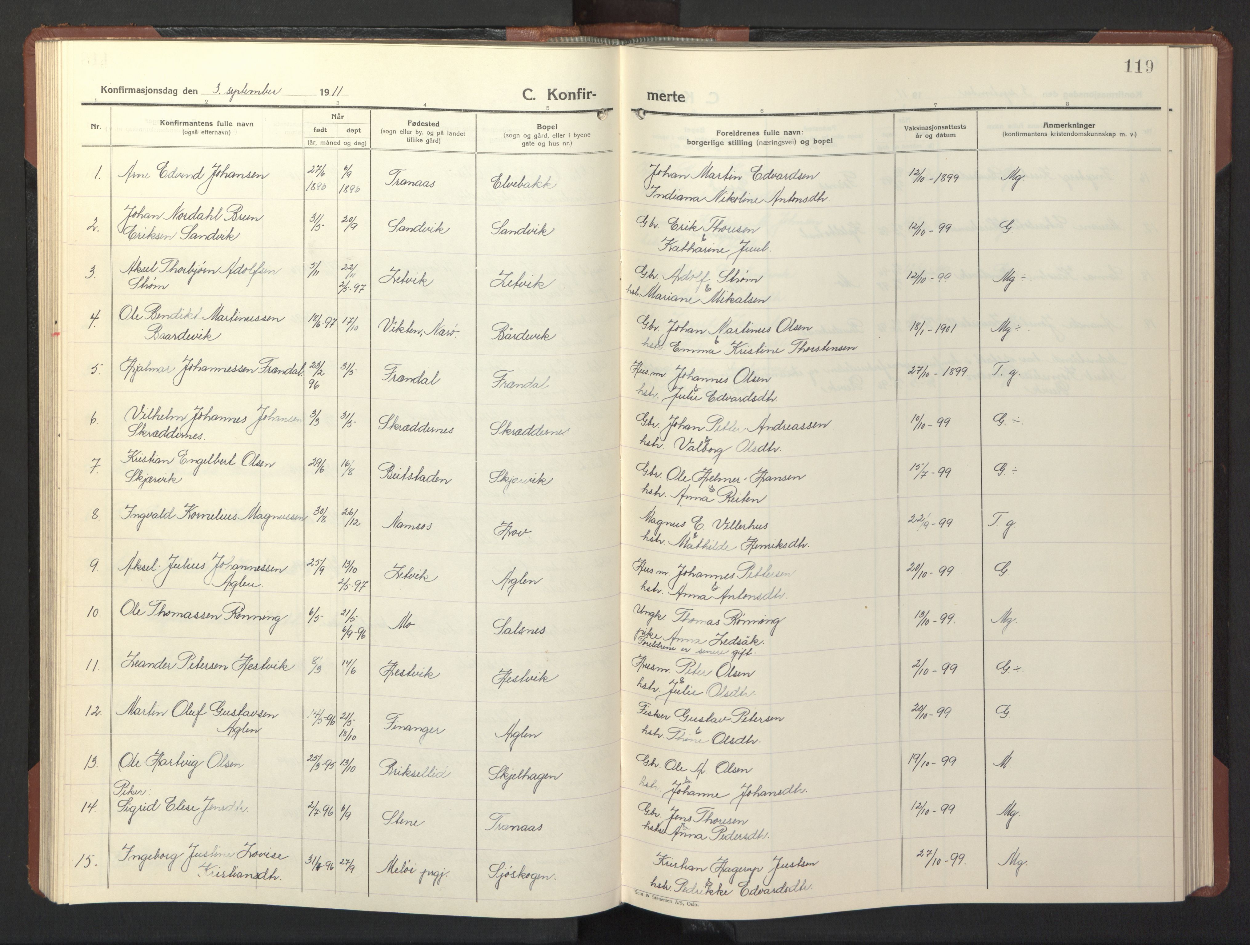 Ministerialprotokoller, klokkerbøker og fødselsregistre - Nord-Trøndelag, SAT/A-1458/773/L0625: Parish register (copy) no. 773C01, 1910-1952, p. 119