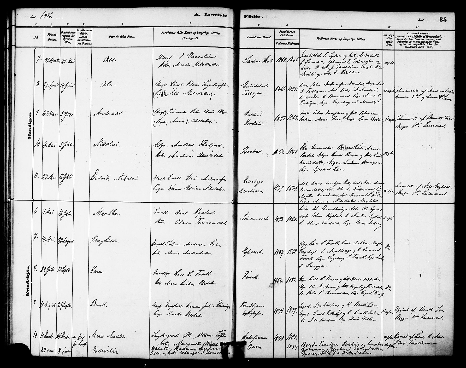 Ministerialprotokoller, klokkerbøker og fødselsregistre - Sør-Trøndelag, SAT/A-1456/618/L0444: Parish register (official) no. 618A07, 1880-1898, p. 34