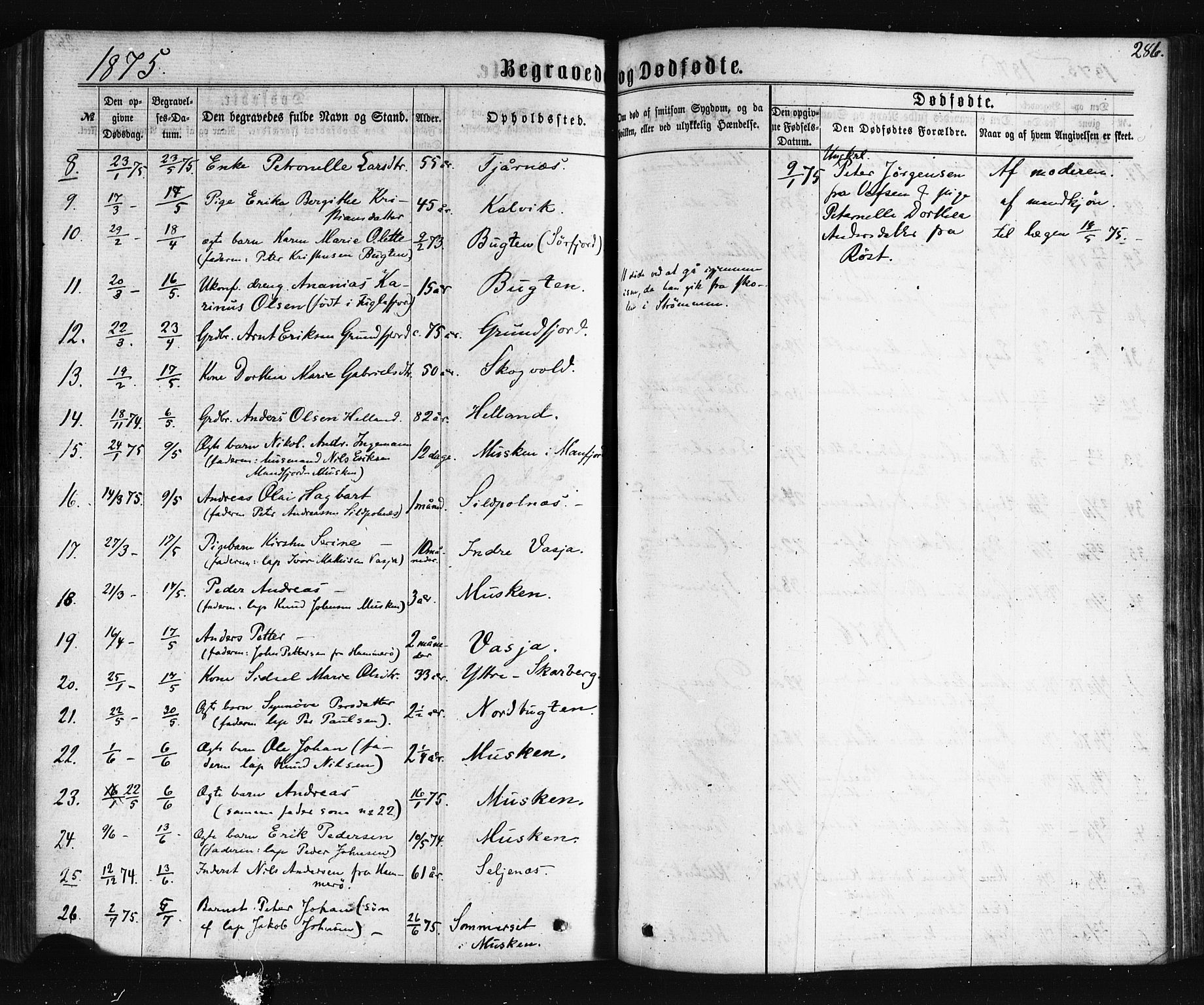 Ministerialprotokoller, klokkerbøker og fødselsregistre - Nordland, AV/SAT-A-1459/861/L0867: Parish register (official) no. 861A02, 1864-1878, p. 286