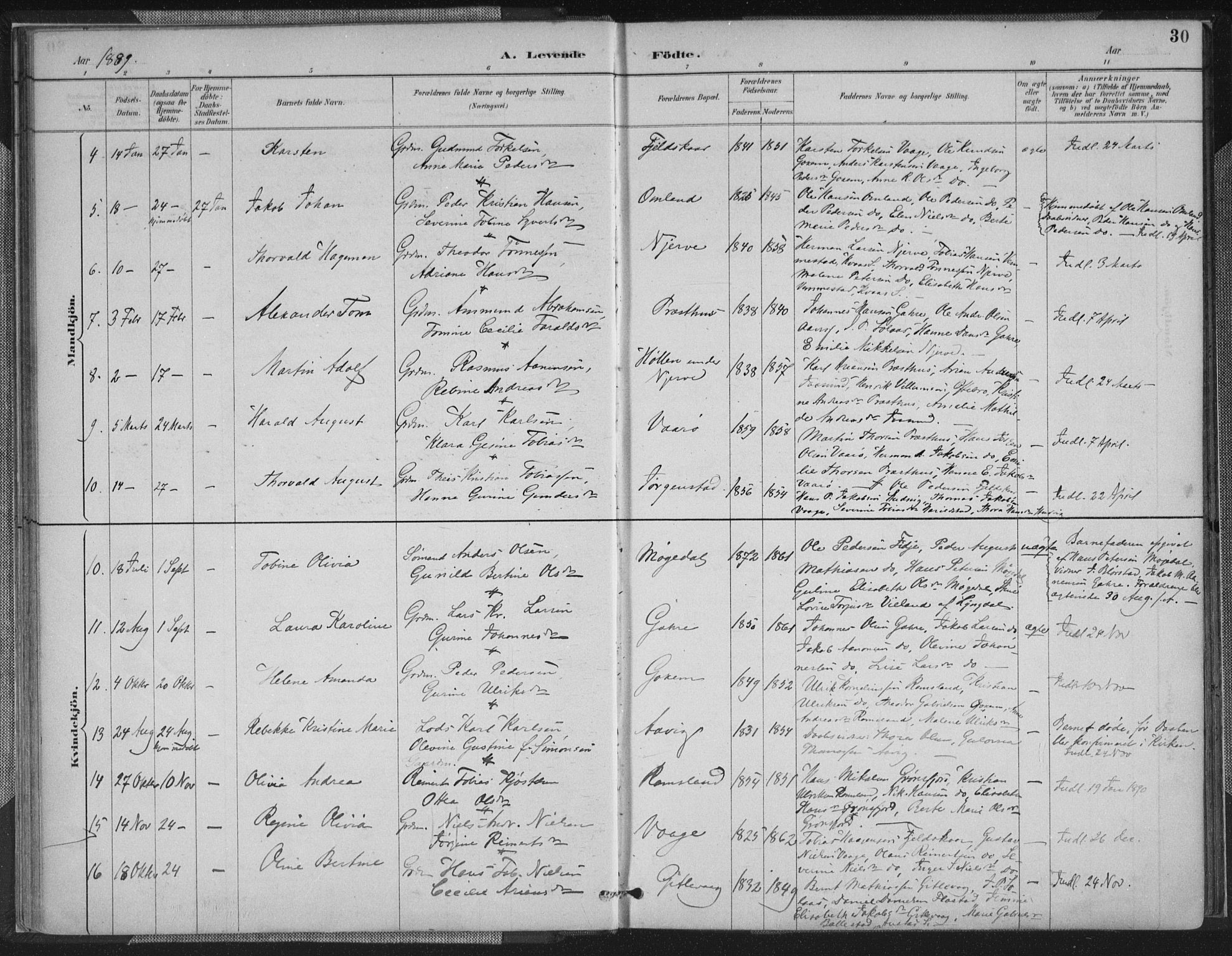 Sør-Audnedal sokneprestkontor, AV/SAK-1111-0039/F/Fa/Faa/L0004: Parish register (official) no. A 4, 1884-1909, p. 31